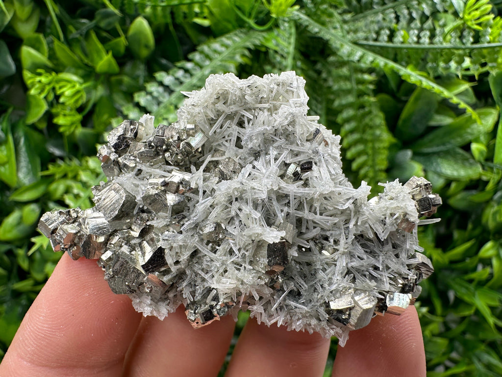 Pyrite on Green Quartz Specimen, Borieva Mine, Bulgaria
