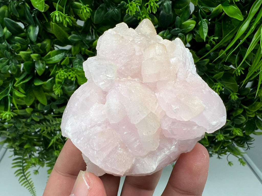 UV Reactive Mangano Calcite Crystal: Androvo Mine, Bulgaria