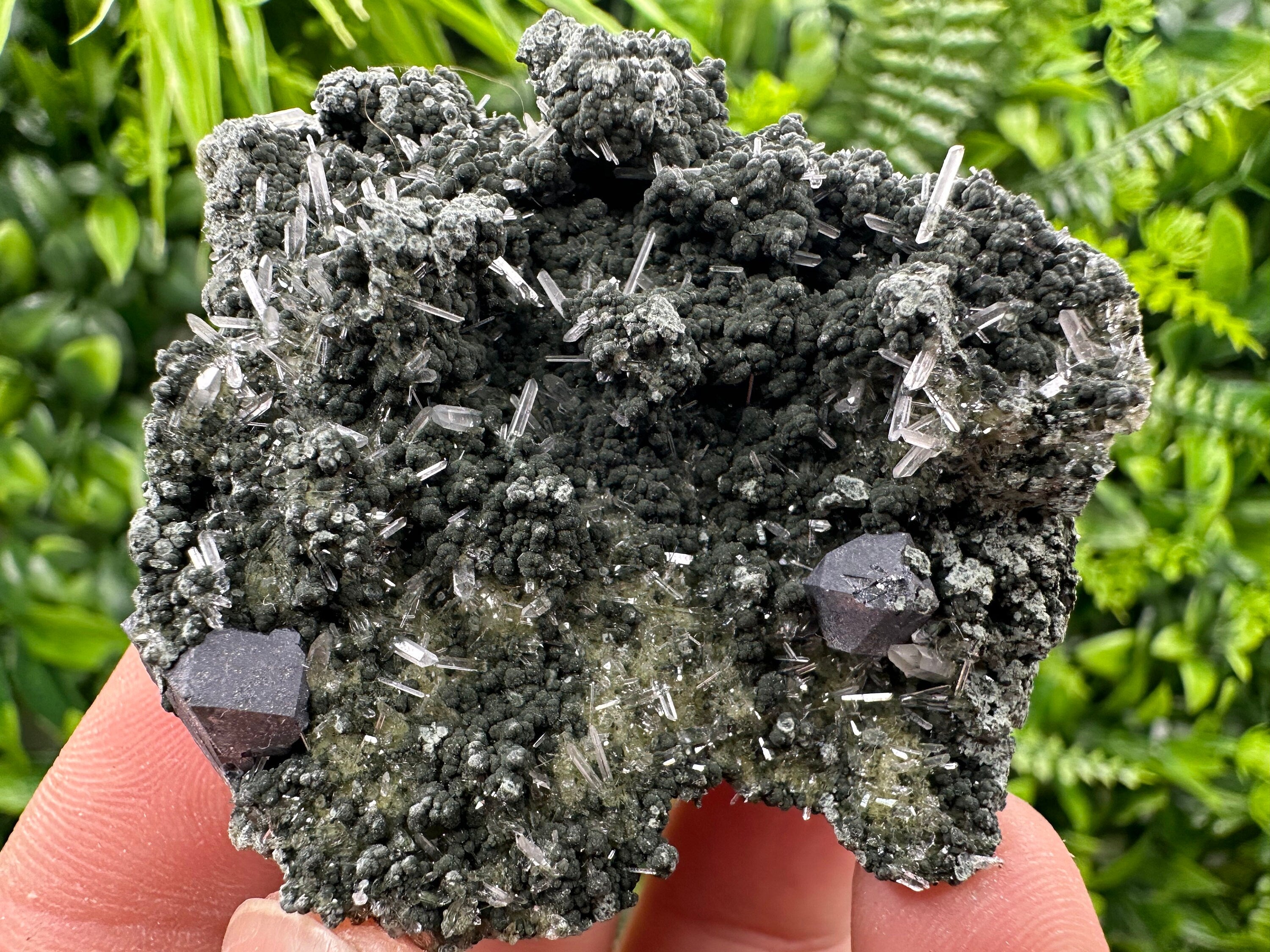 Galena on Green Quartz Crystal, Borieva Mine, Bulgaria