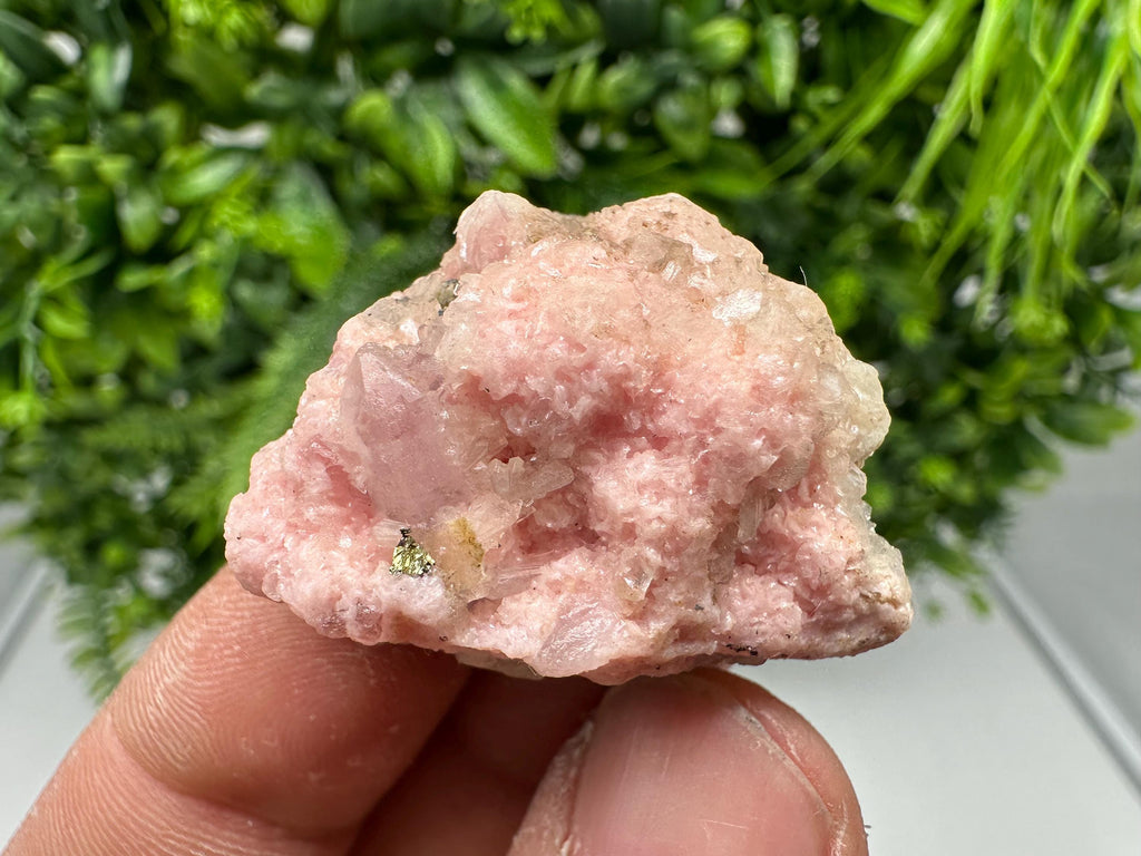 Rhodochrosite on Quartz: Pink Crystal Home Decor, Bulgaria Mineral Souvenir