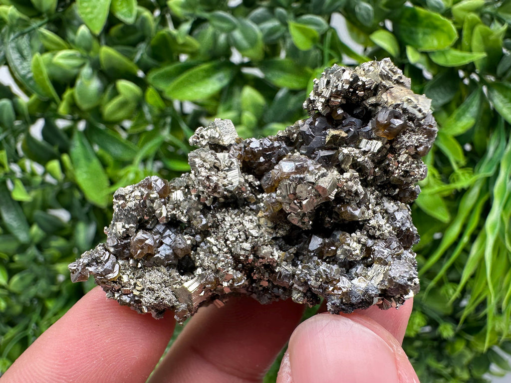 Sphalerite GEM Cleiopfane on Pyrite, Rare Crystal Mineral Stone