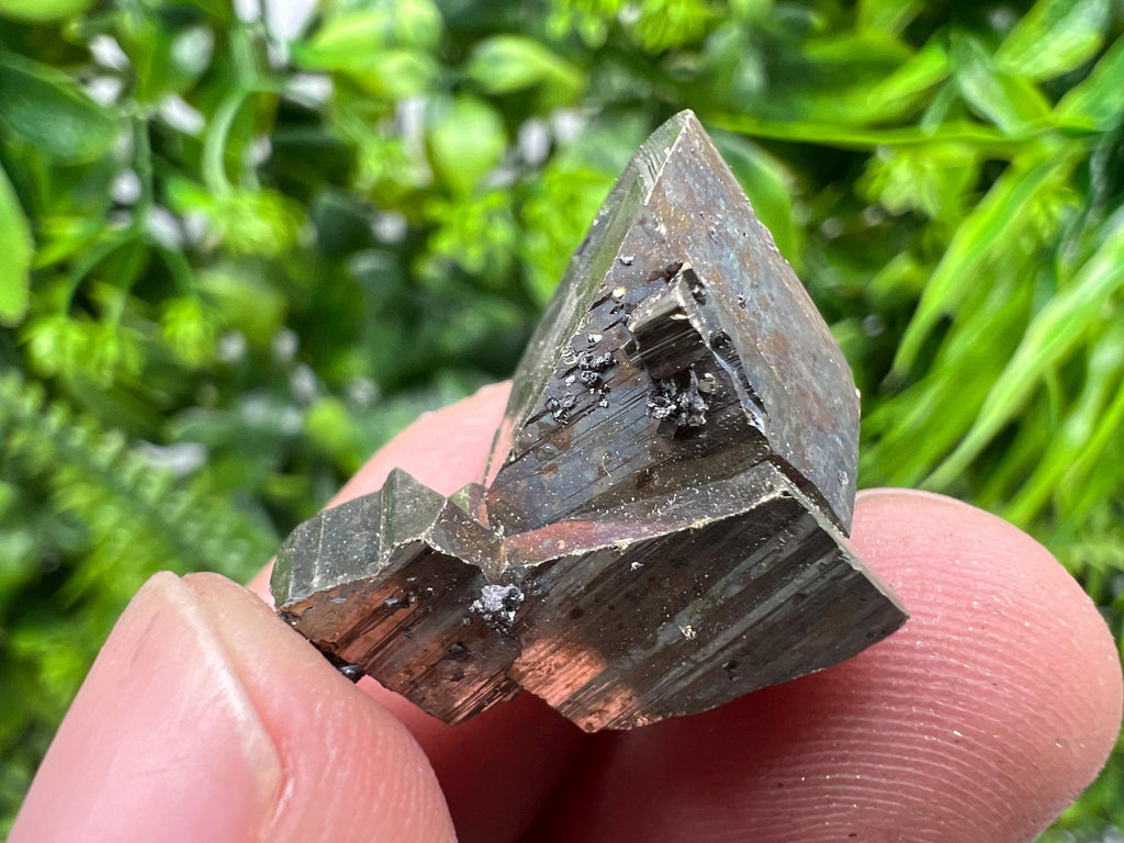 Rare Crystallization Pyrite, Borieva Mine, Bulgaria, Rainbow Golden Pyrite