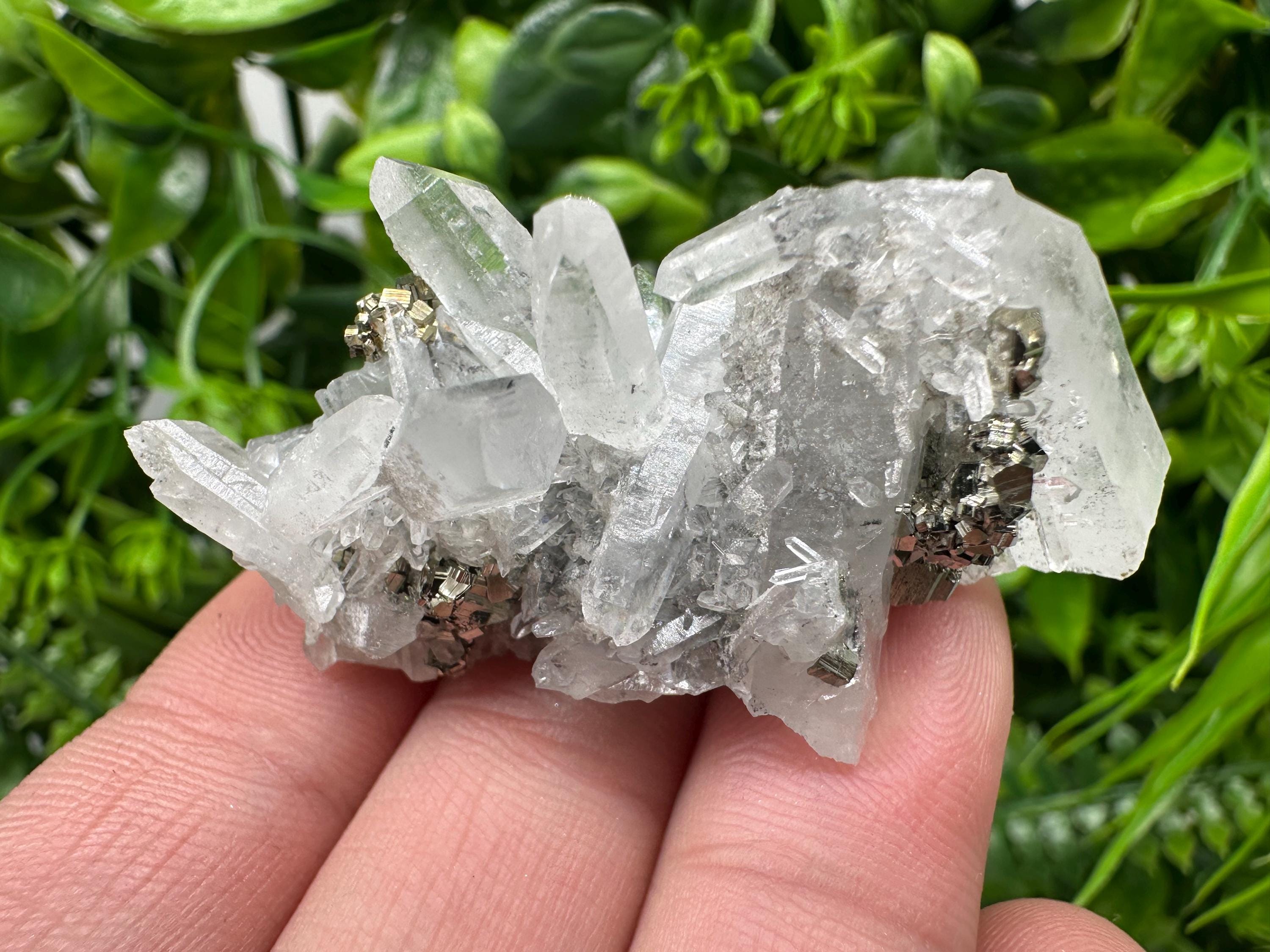 Pyrite on Green Quartz Mineral Specimen, Borieva Mine Bulgaria