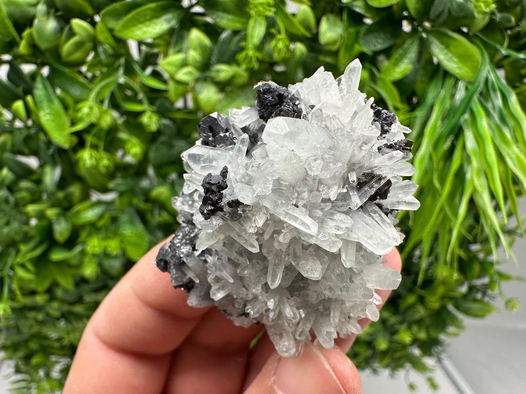 Wonderful Sphalerite Chalcopyrite on Green Quartz whit Hematite feom 9 th September mine,Bulgaria,natural,collection mineral specimen,gift