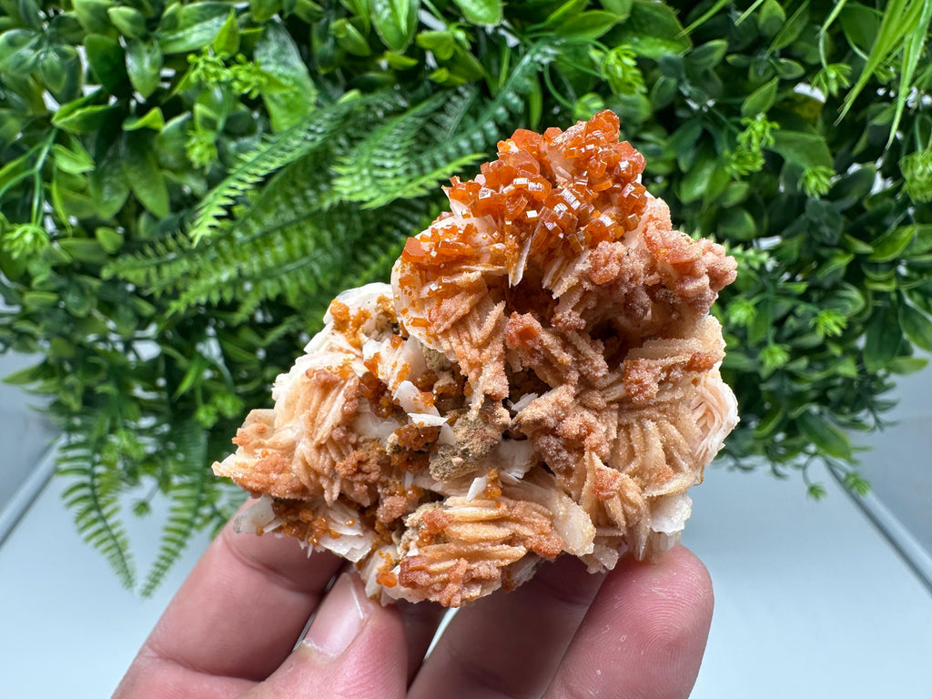 Red Vanadinite on Barite from Marocco,crystal minerals Speciment cluster Vanadinite crystal Vanadinite Geology Vanadinite cluster minerals