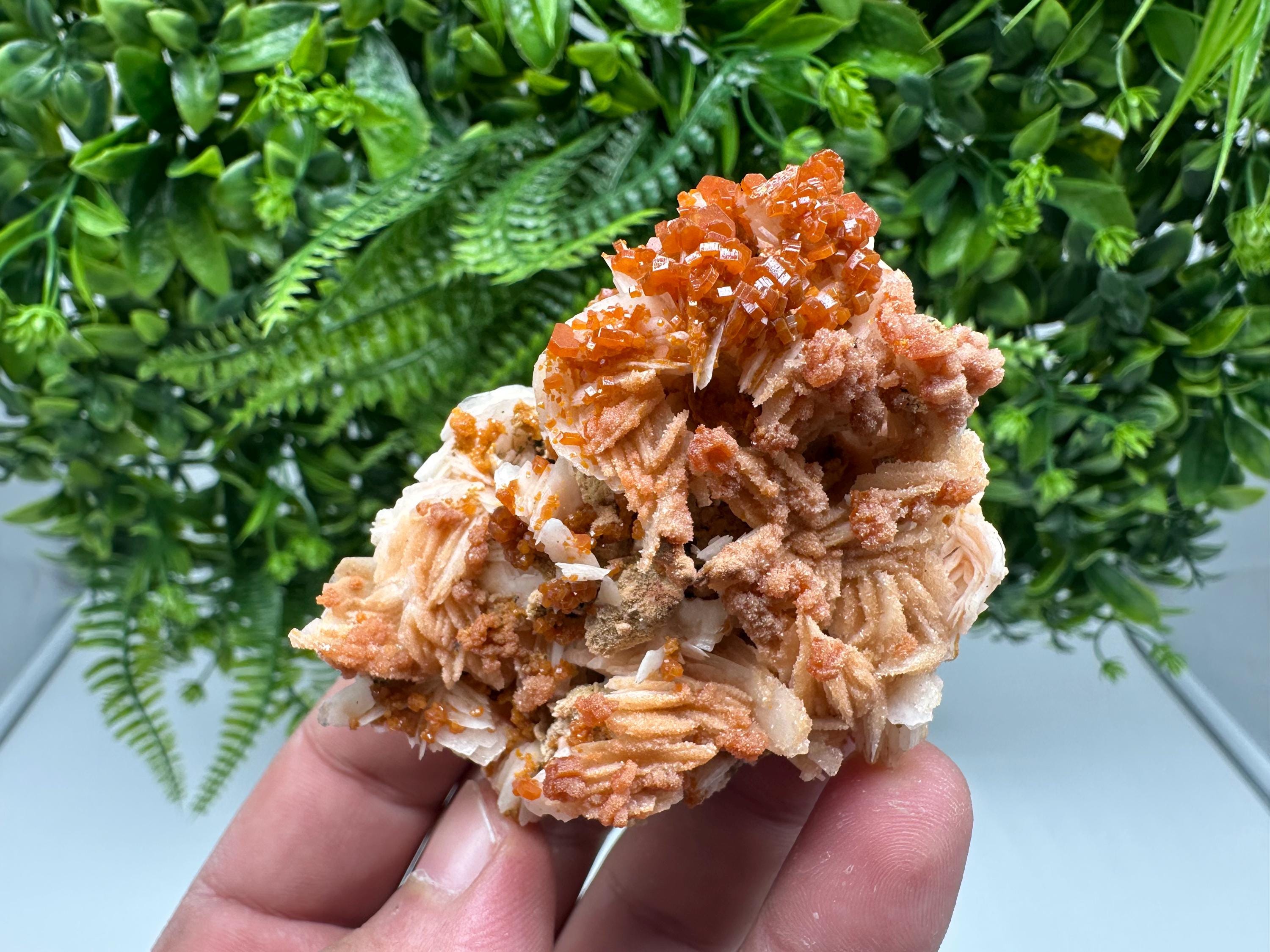 Red Vanadinite on Barite from Marocco,crystal minerals Speciment cluster Vanadinite crystal Vanadinite Geology Vanadinite cluster minerals