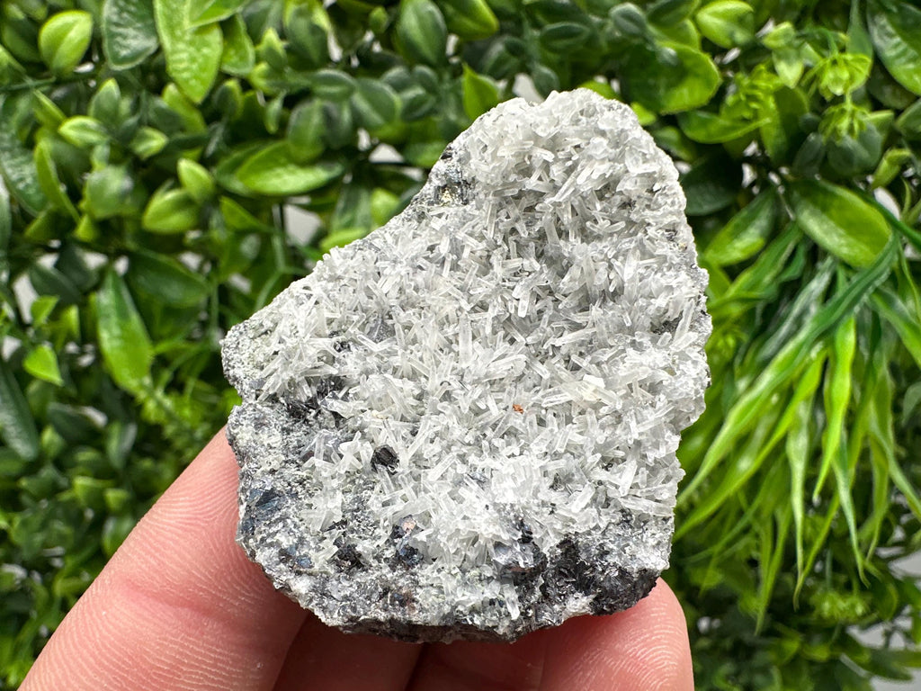Pyrite on Green Quartz Specimen: Borieva Mine Mineral Decor