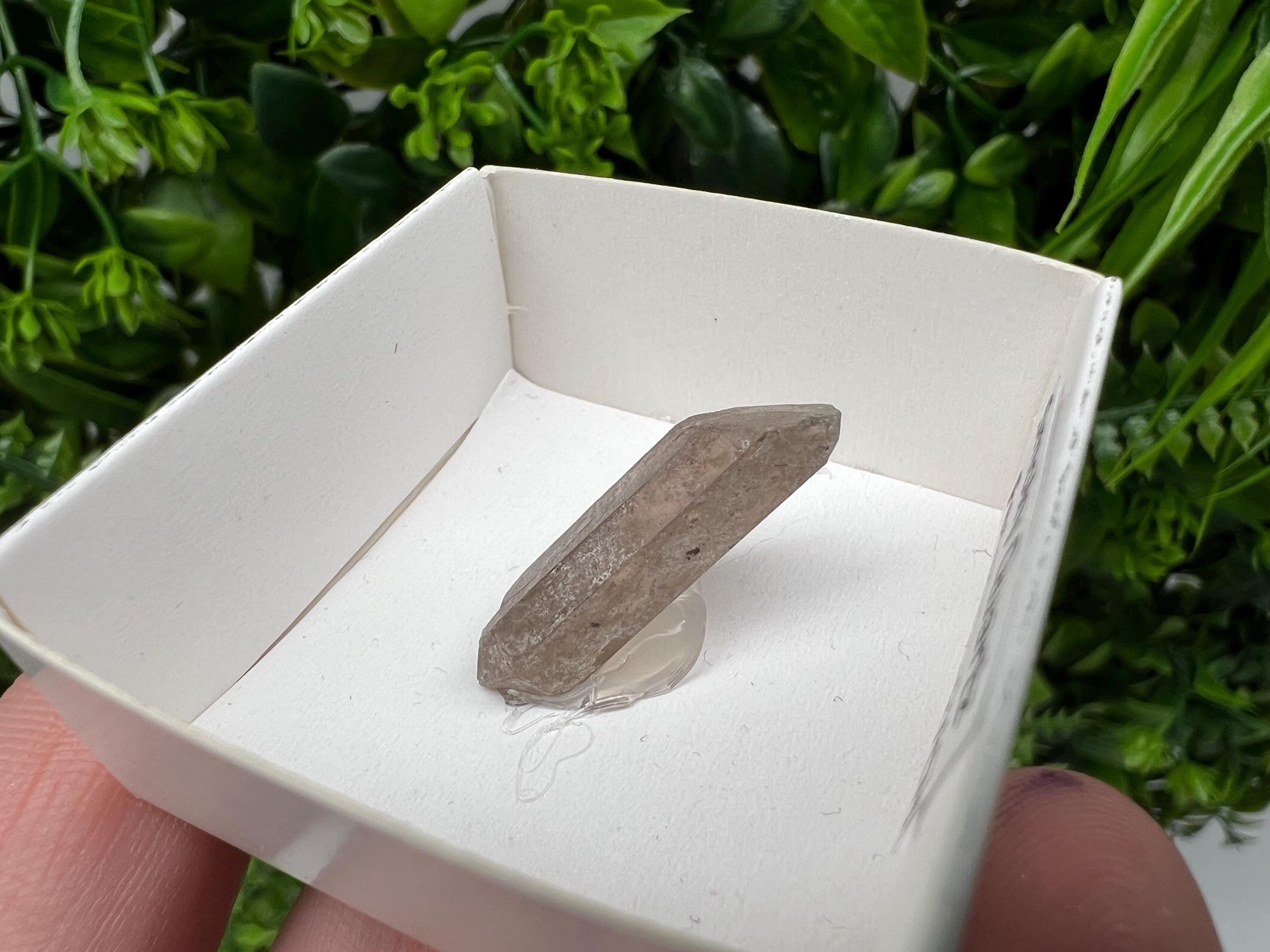 Rare Fedenstock Smoky Quartz Point, Swiss Mineral Specimen (25 MM)
