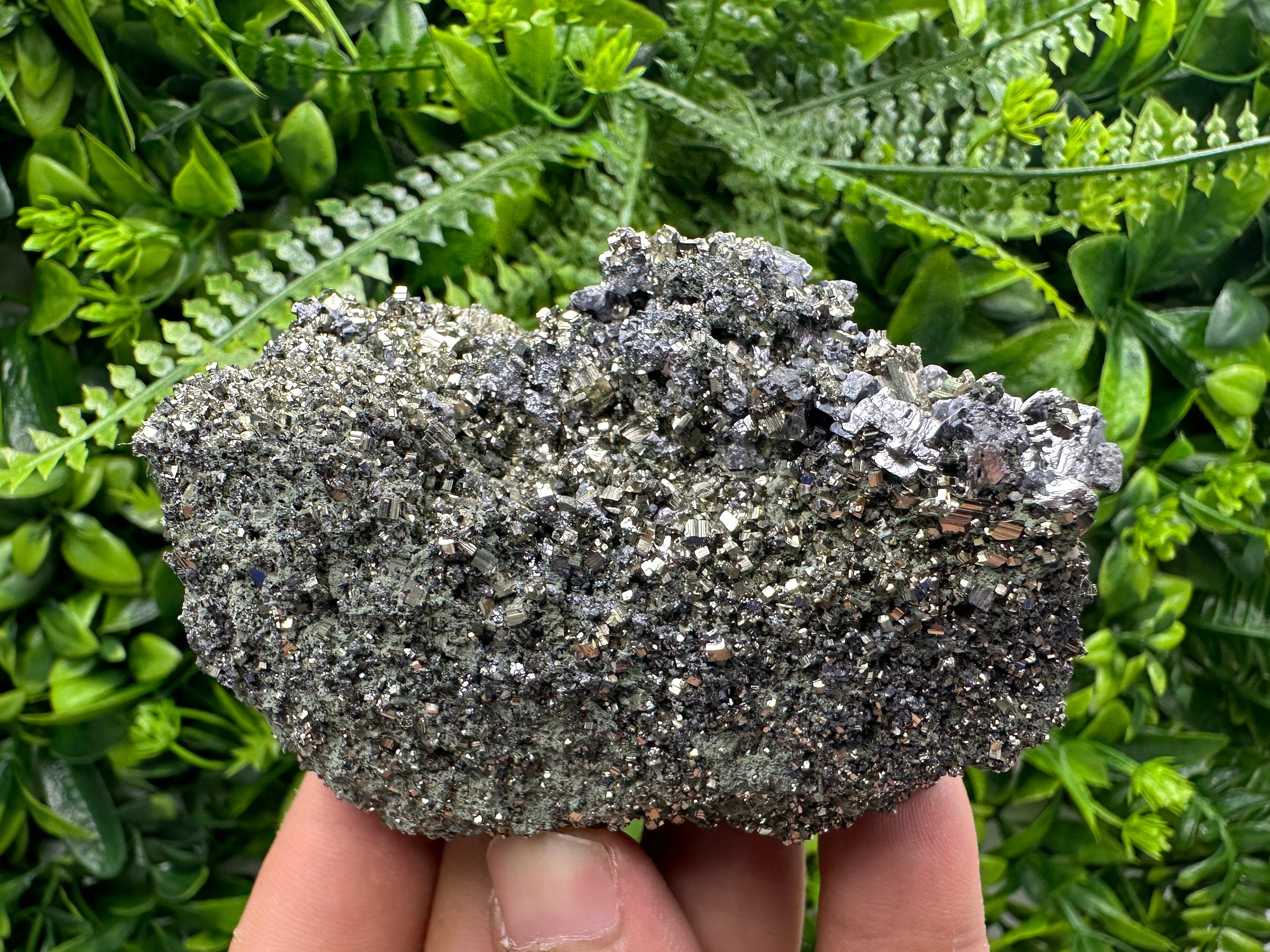 Galena on Pyrite Specimen: Borieva Mine, Bulgaria