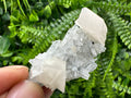 Calcite on Quartz Crystal: Borieva Mine, Bulgaria