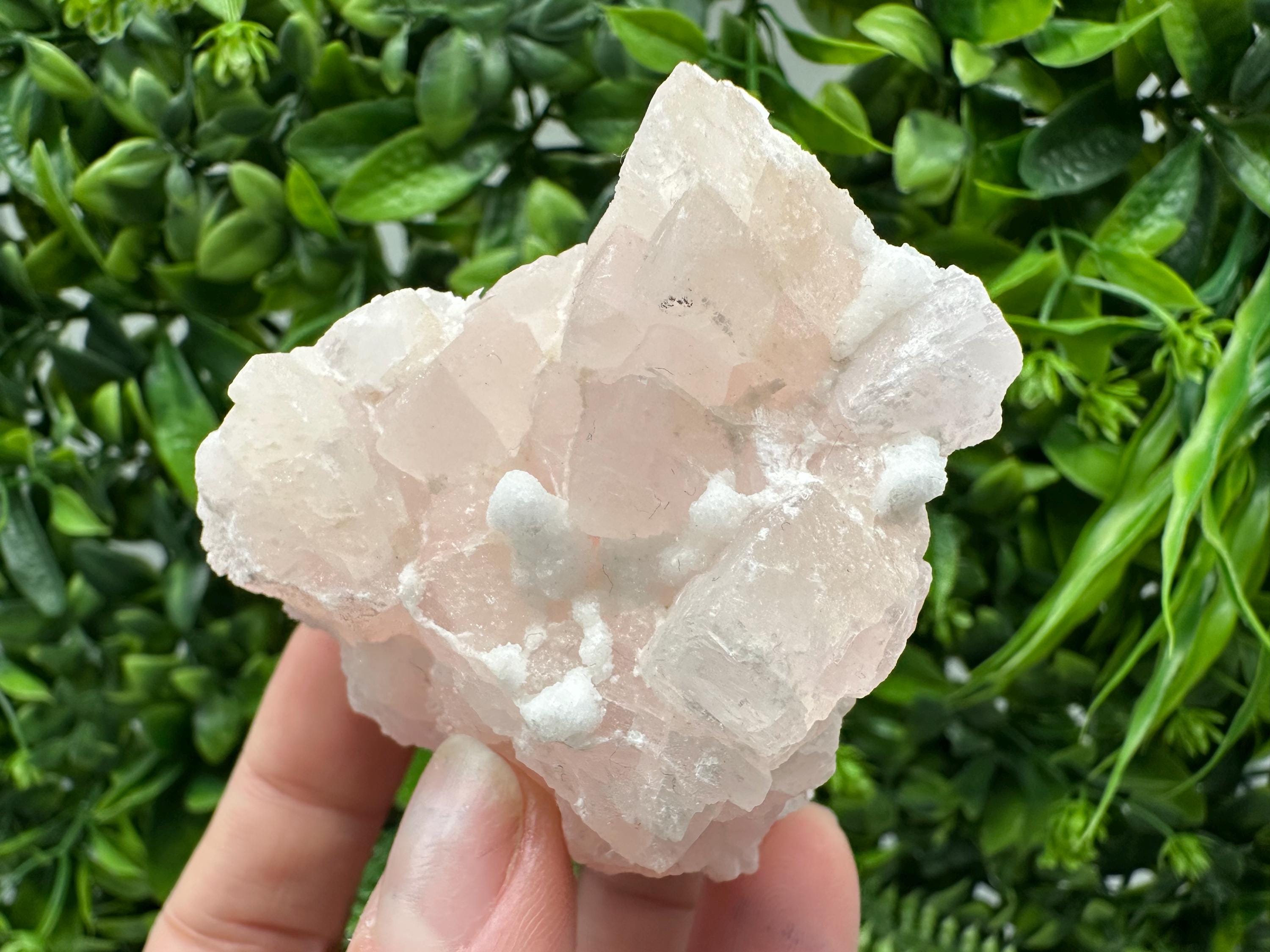 Mangano Calcite with Galena, Borieva Mine, Bulgaria