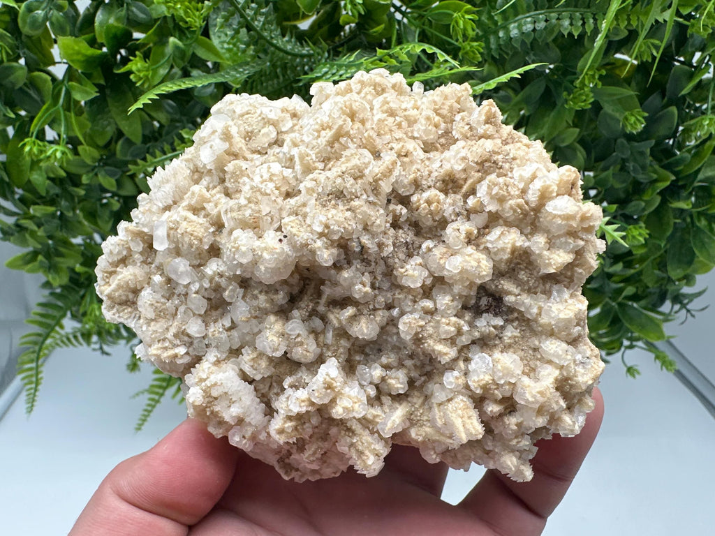 Fluorescent Mangano Calcite Specimen: Rhodopes Bulgaria Mineral Decor