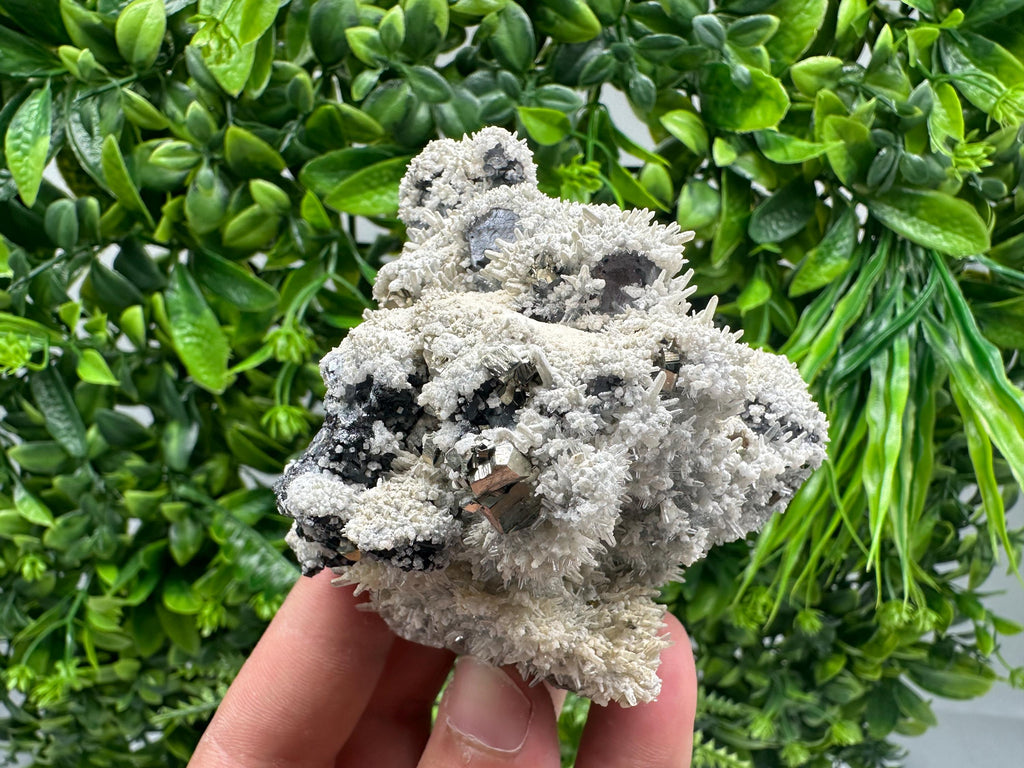 Galena Quartz Pyrite Specimen: Krushev Dol Mine Mineral Decor