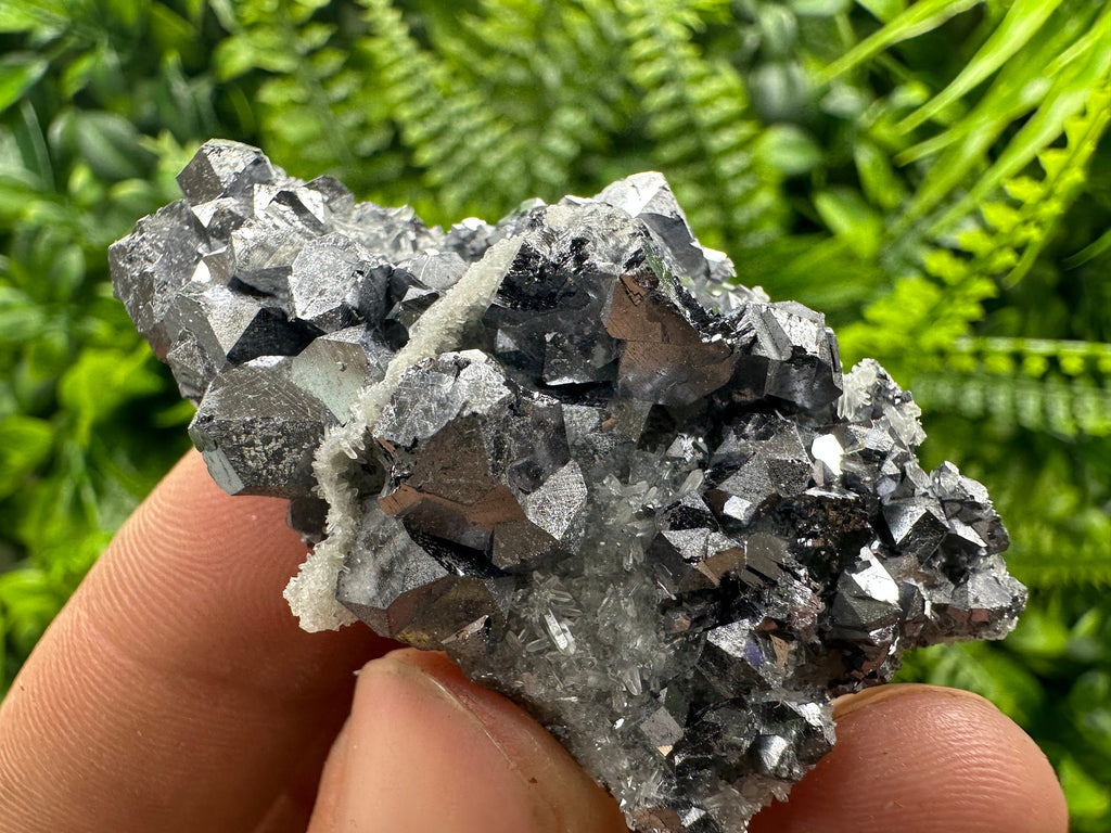 Shiny Galena on Quartz: Natural Mineral Souvenir from Bulgaria