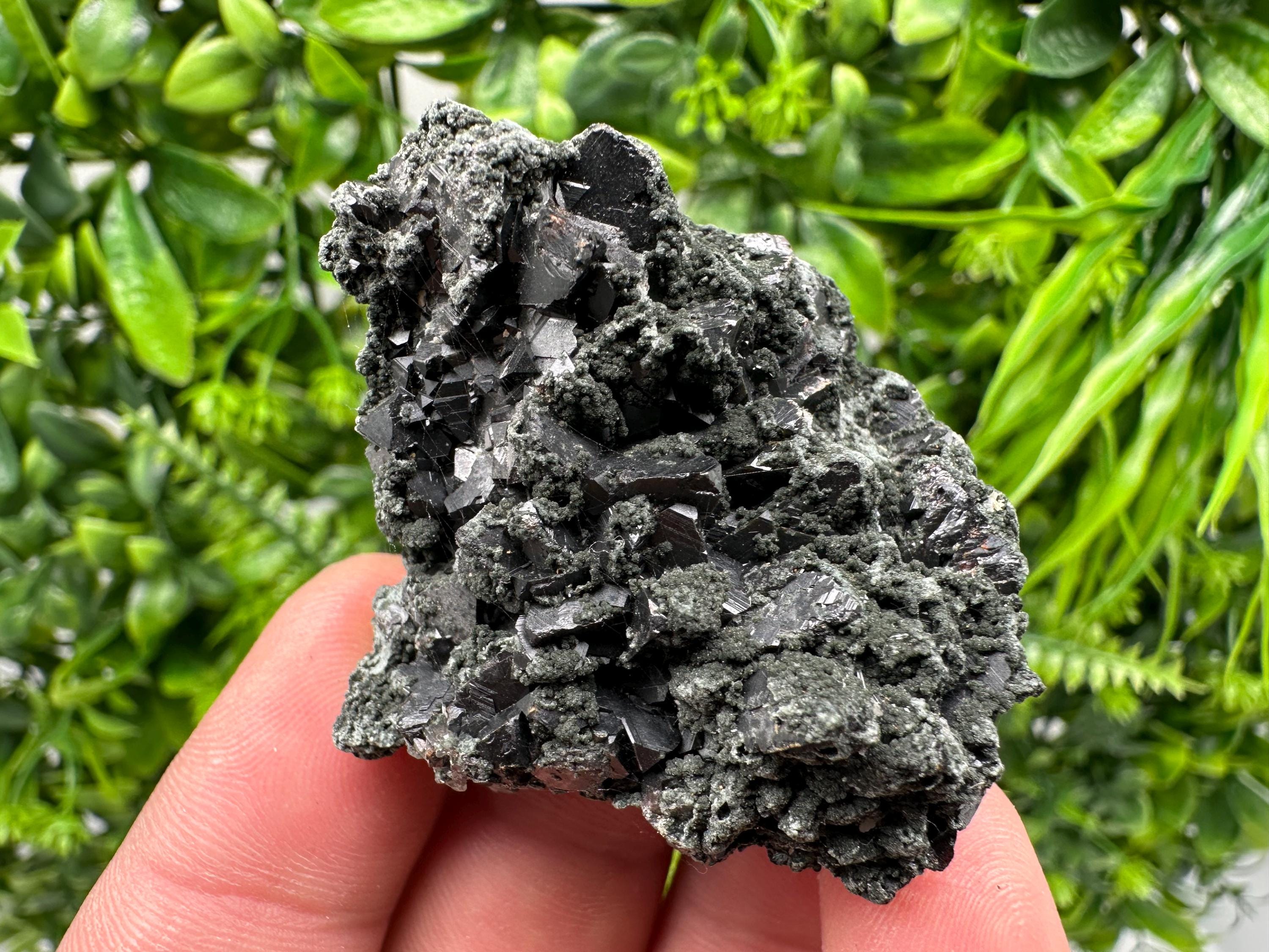 Sphalerite Galena with Chlorite Mineral Specimen, Bulgaria