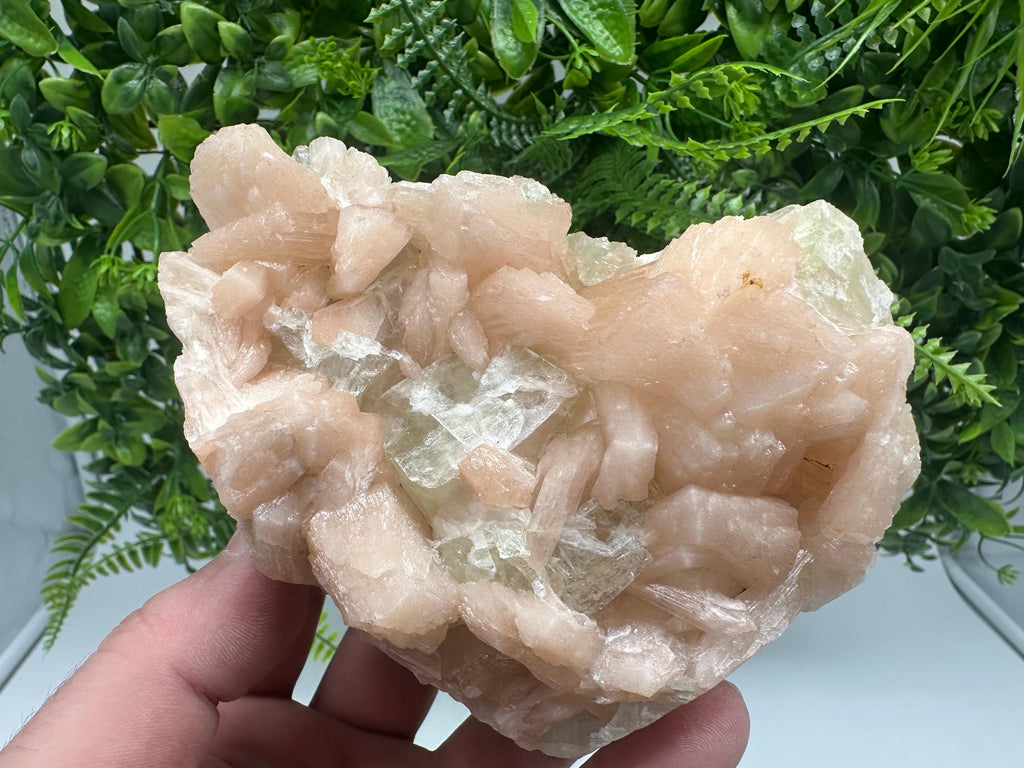 Apophyllite Stilbite on Chalcedony, India Crystal Specimen