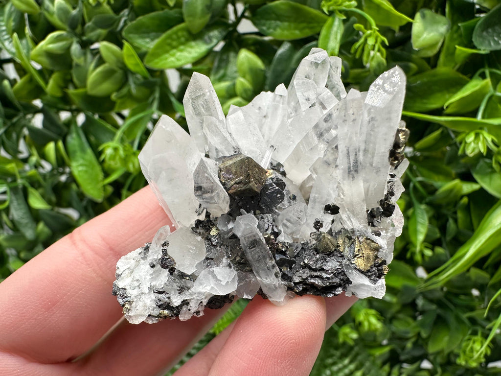 Wonderful Sphalerite Chalcopyrite on  Quartz whit Galena feom 9 th September mine,Bulgaria,natural,collection mineral specimen,gift