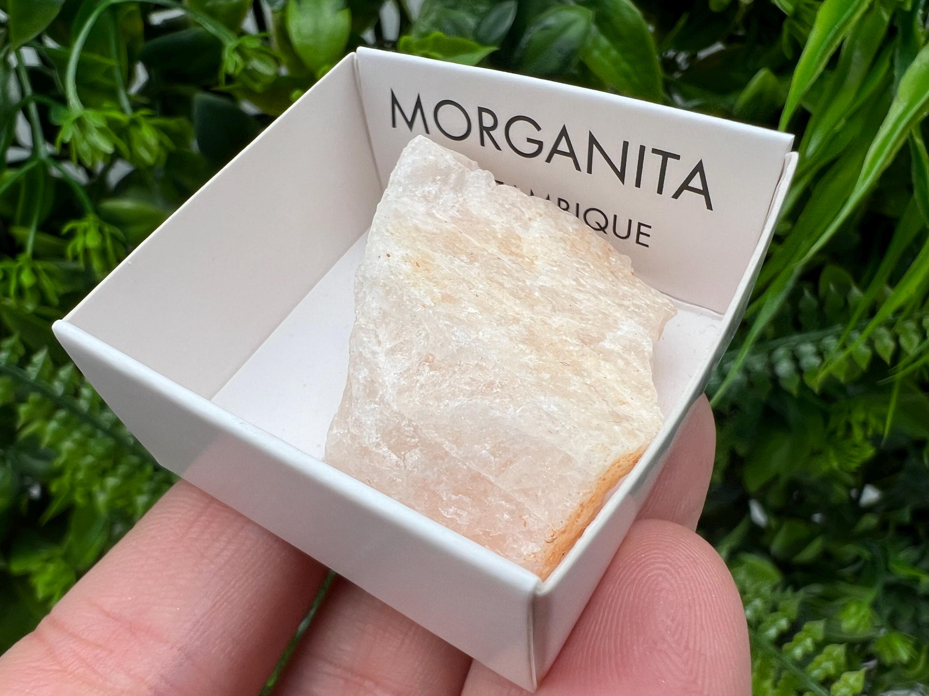 Rare Raw Morganite Mineral Specimen, Mozambique Crystal