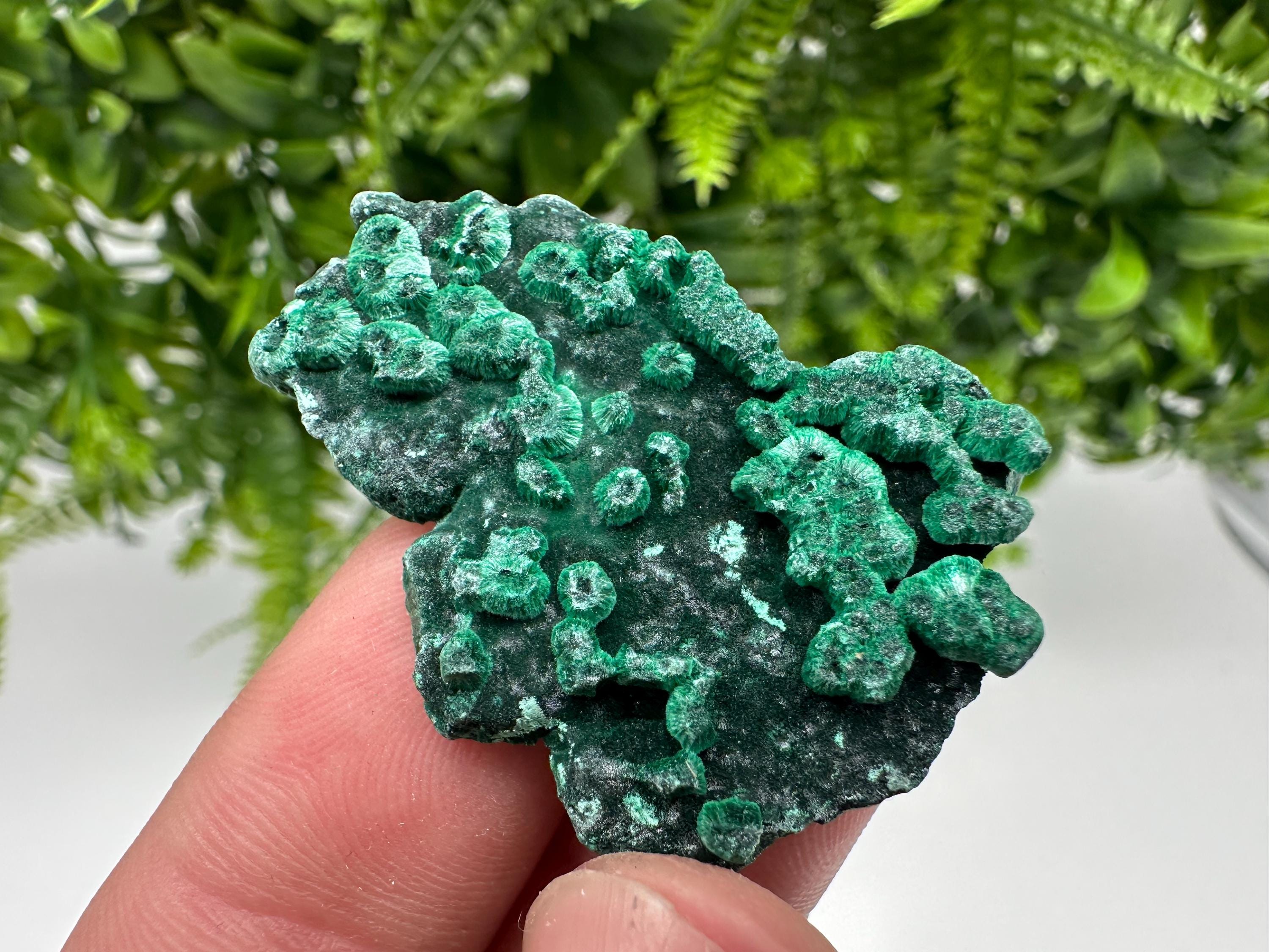 Green Malachite Crystal Specimen: Congo Minerals, Chakra Stone