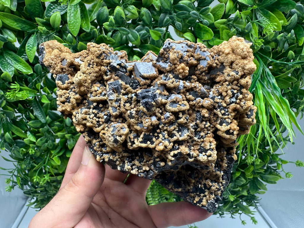 Skeletal Galena with Dolomite: Krushev Dol Mine, Bulgaria