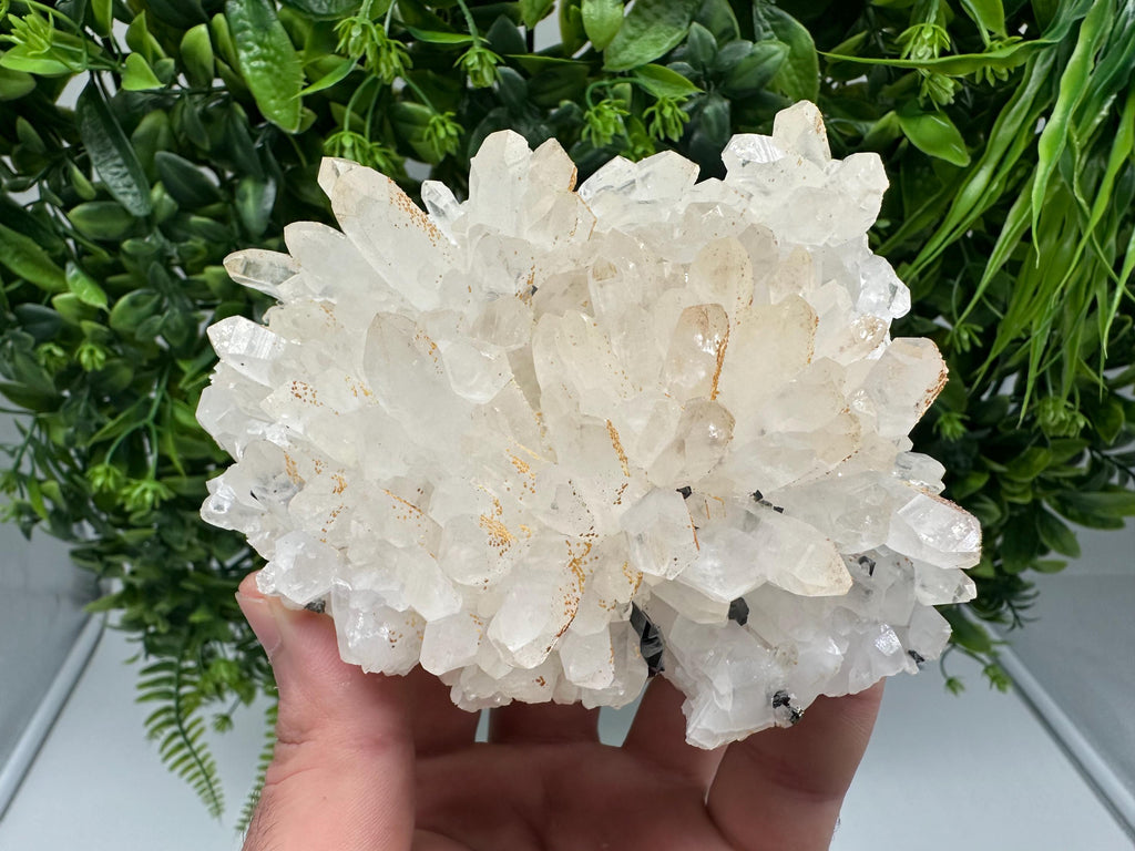 Transparent Quartz whit Siderite 9th September mine Bulgaria natural minerals souvenir crystal stone gift minerals collection rock