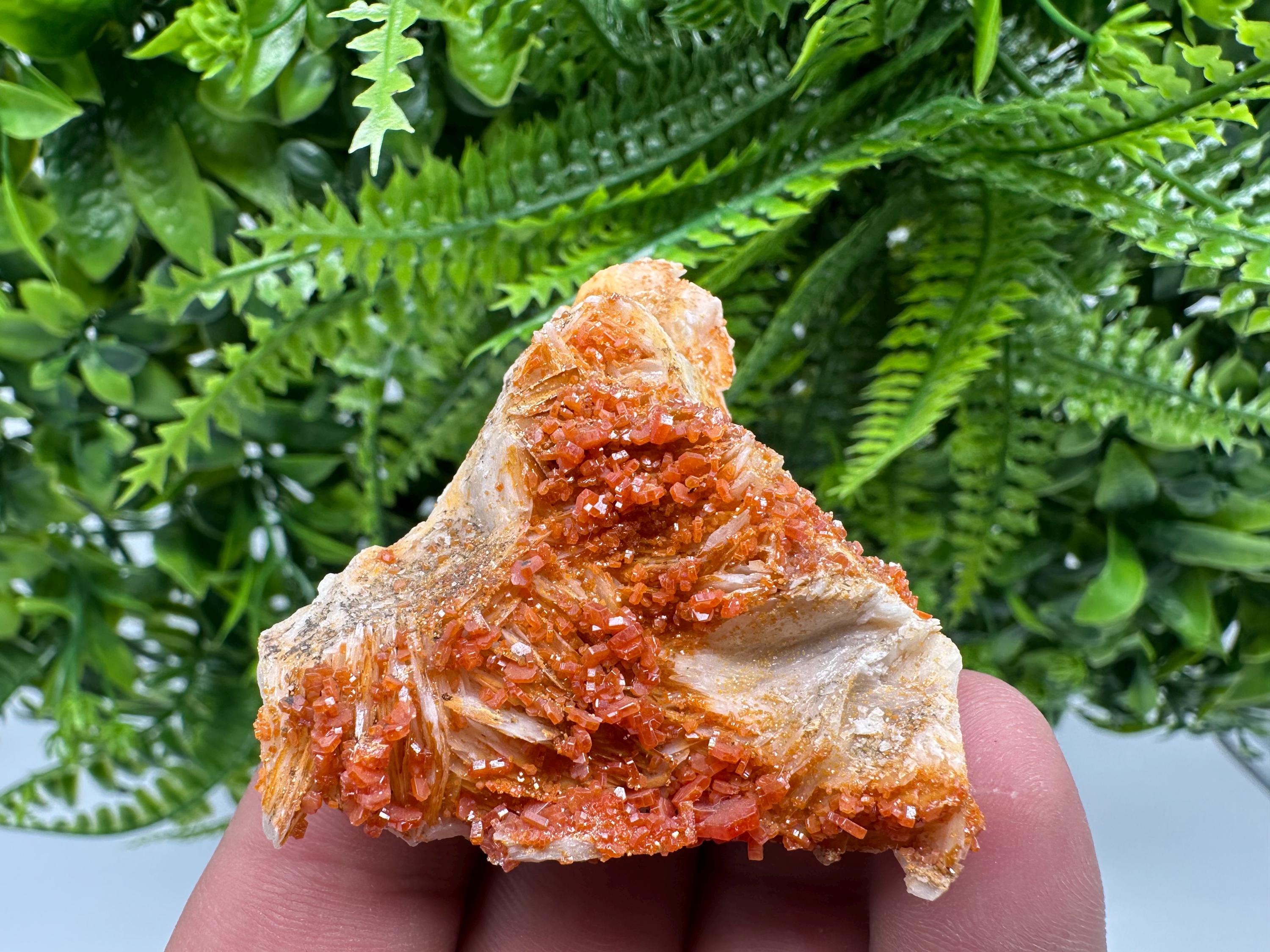 Red Vanadinite Crystal Cluster on Matrix, Morocco Mineral Specimen
