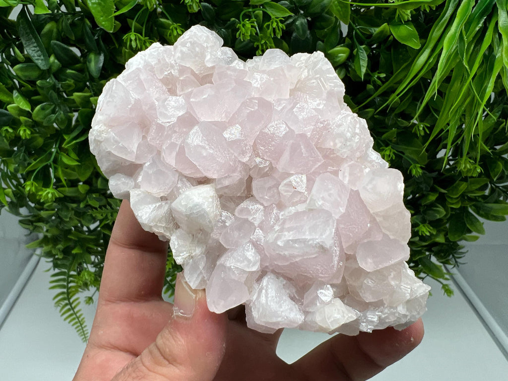 UV Reactive Mangano Calcite Crystal: Androvo Mine, Bulgaria