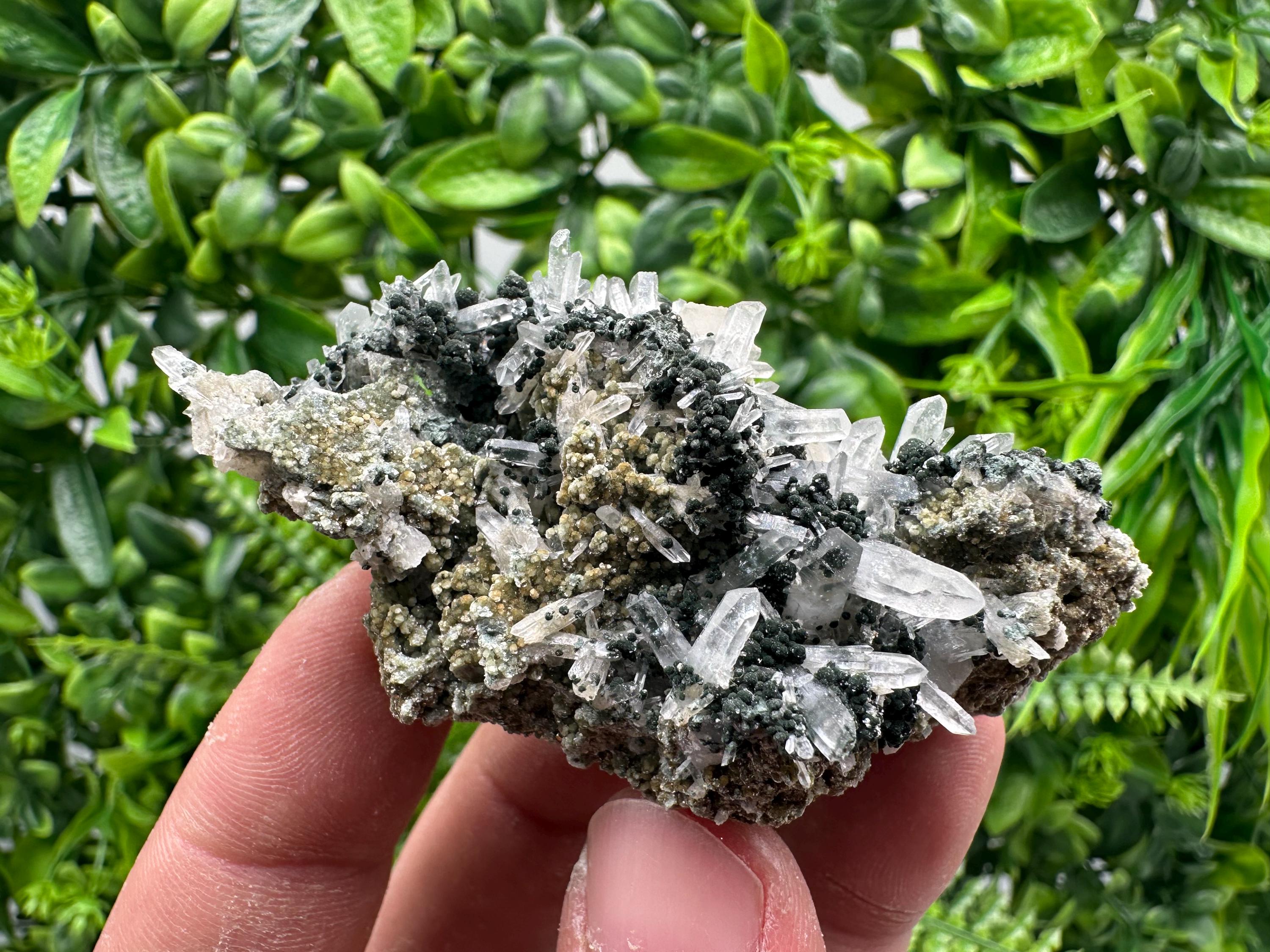 Transparent Quartz on Chlorite Matrix, Bulgaria Mineral Specimen