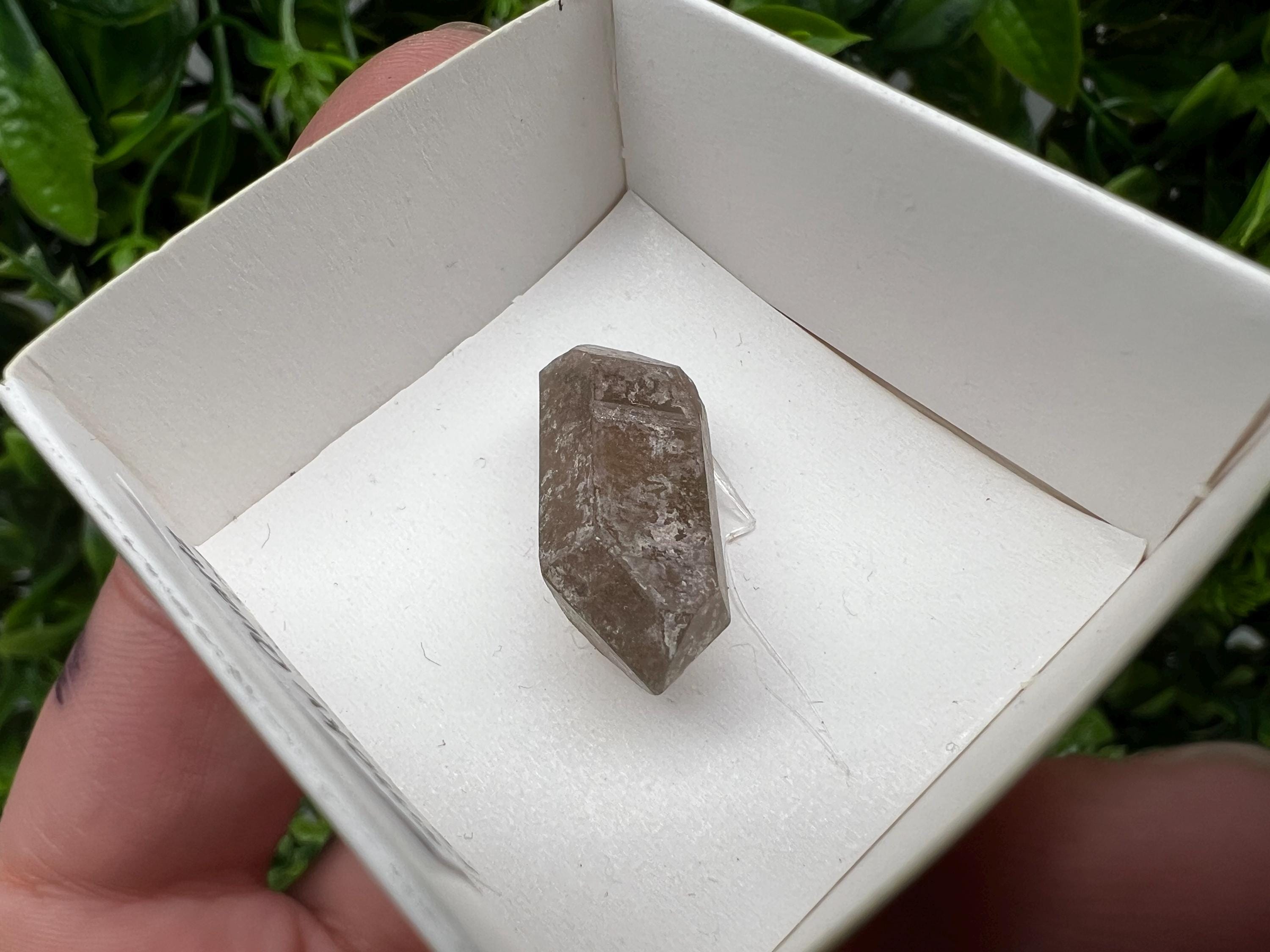 Rare Smoky Quartz Point, Fedenstock Switzerland Mineral Specimen (25MM)