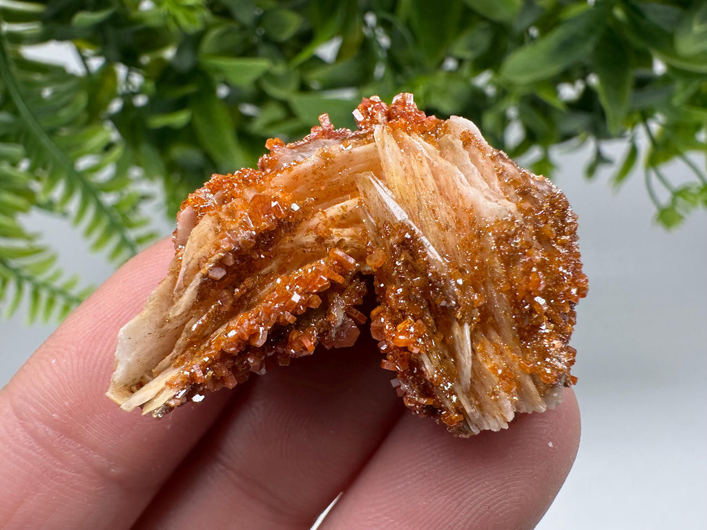 Red Vanadinite on Barite Cluster, Morocco Crystal Specimen