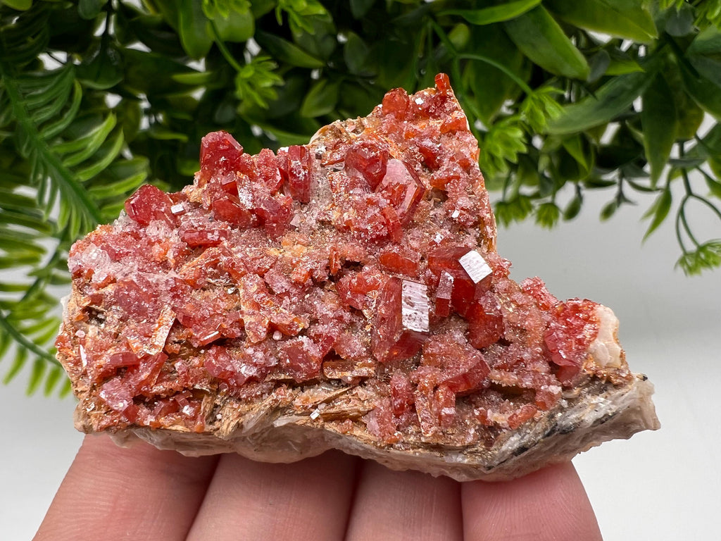Red Vanadinite on Barite Specimen, Morocco Mineral Cluster