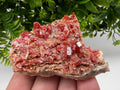 Red Vanadinite on Barite Specimen, Morocco Mineral Cluster