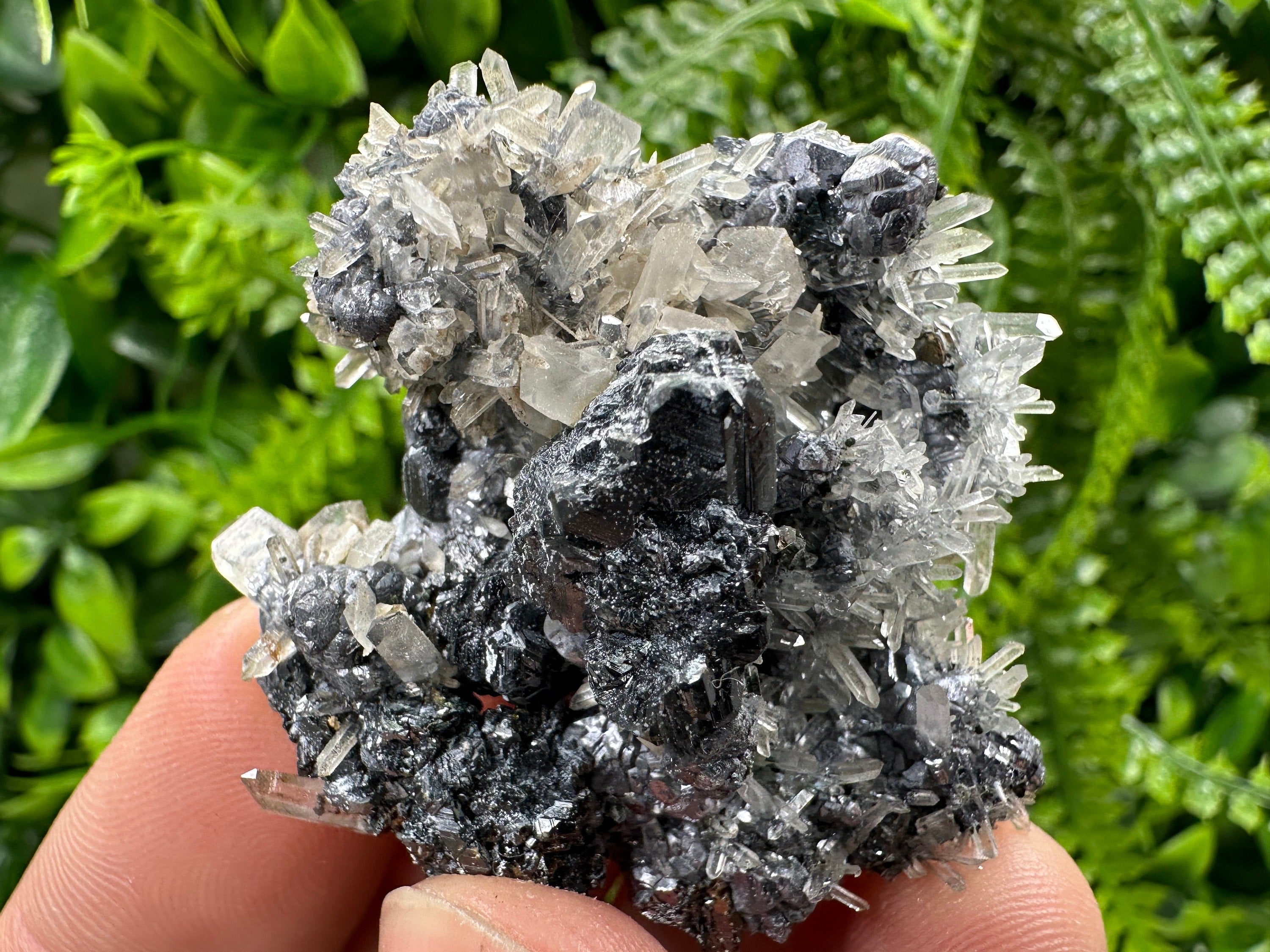 Sphalerite Quartz on Galena Mineral Specimen, Bulgaria