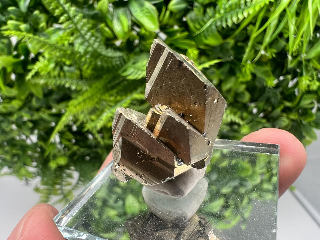 Mini Rare crystallisation Pyrite,Borieva mine,Bulgaria,floating Pyrite,golden Pyrite,Pyrite cluster,mini Collection specimen,Rainbow Pyrite