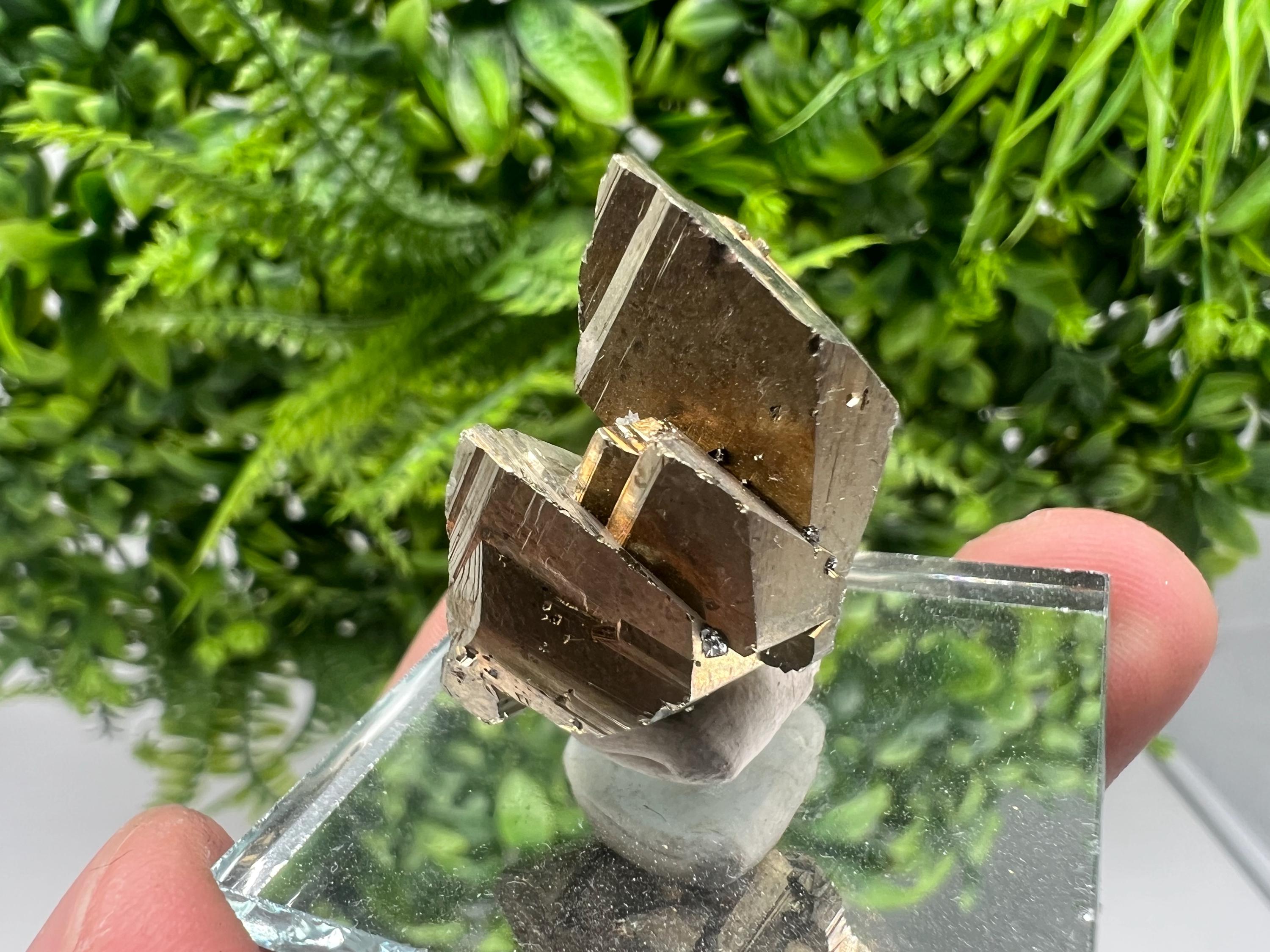 Mini Rare crystallisation Pyrite,Borieva mine,Bulgaria,floating Pyrite,golden Pyrite,Pyrite cluster,mini Collection specimen,Rainbow Pyrite