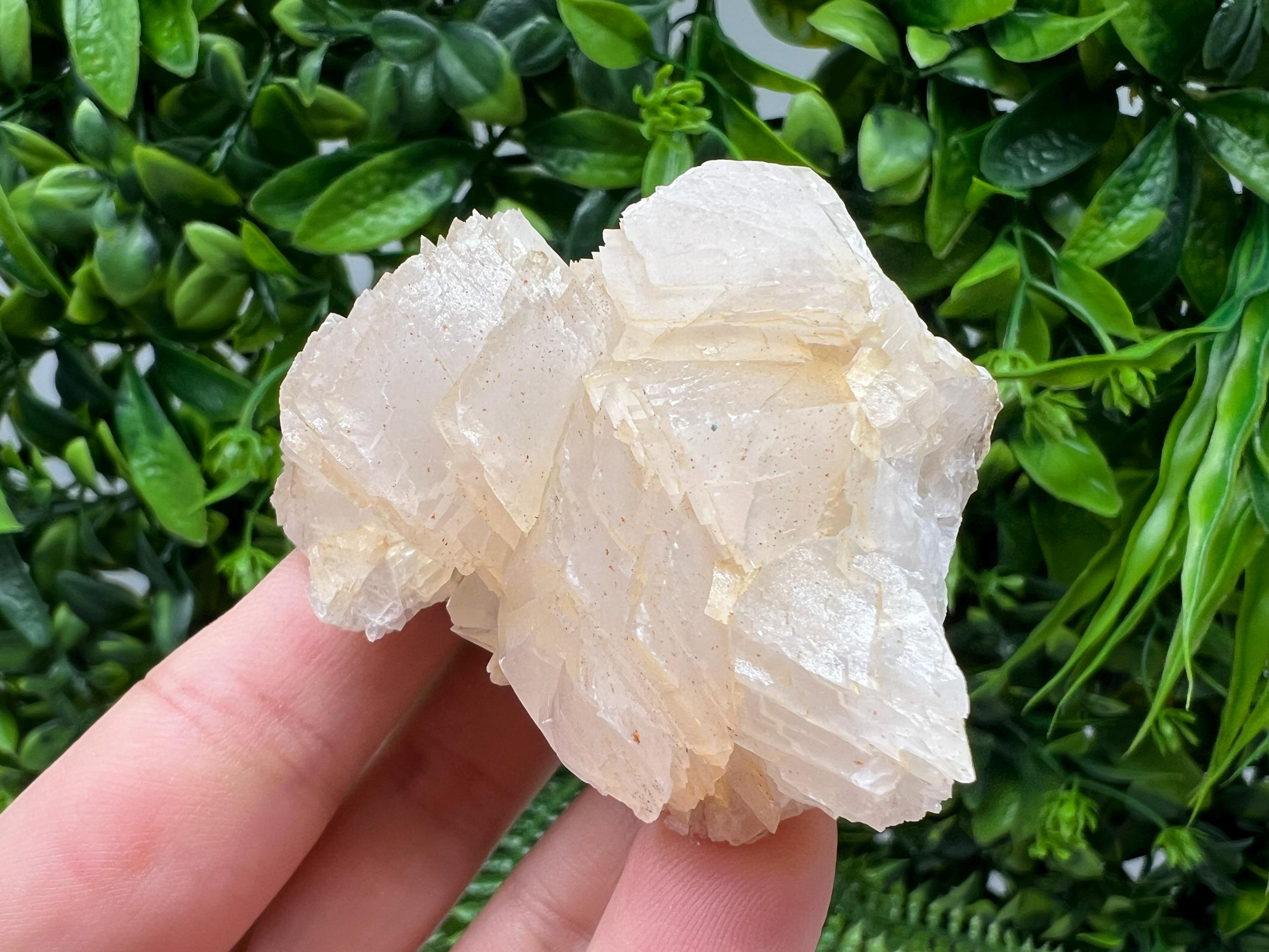 Calcite & Chlorite Crystal: Borieva Mine, Bulgaria