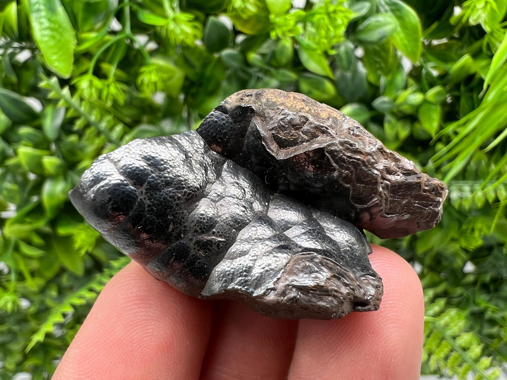 Moroccan Botryoidal Black Hematite Specimen: Chakra Reiki Crystal