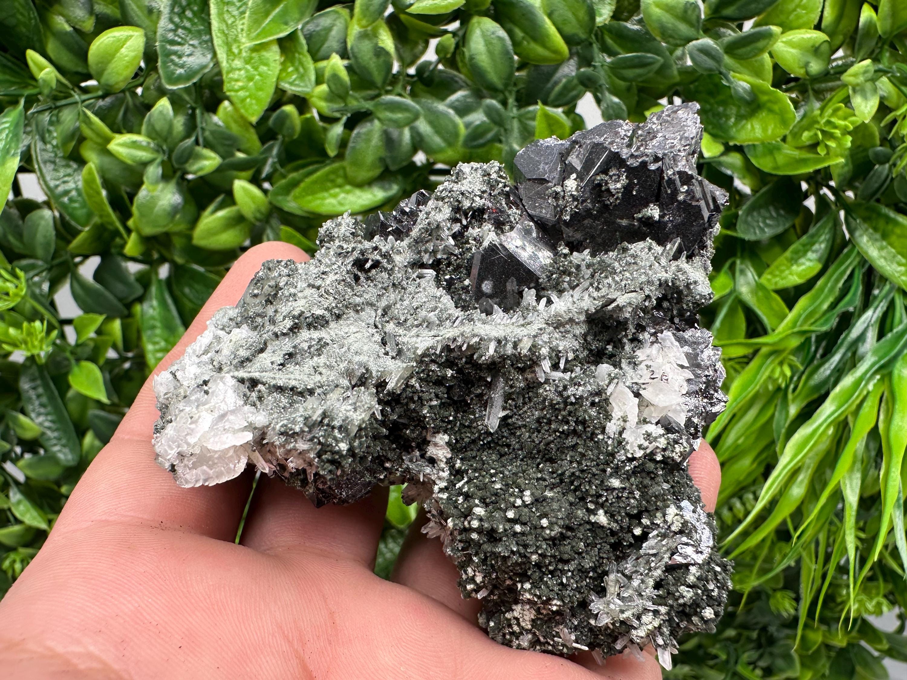 Galena Quartz Sphalerite Mineral Specimen: Borieva Mine, Bulgaria