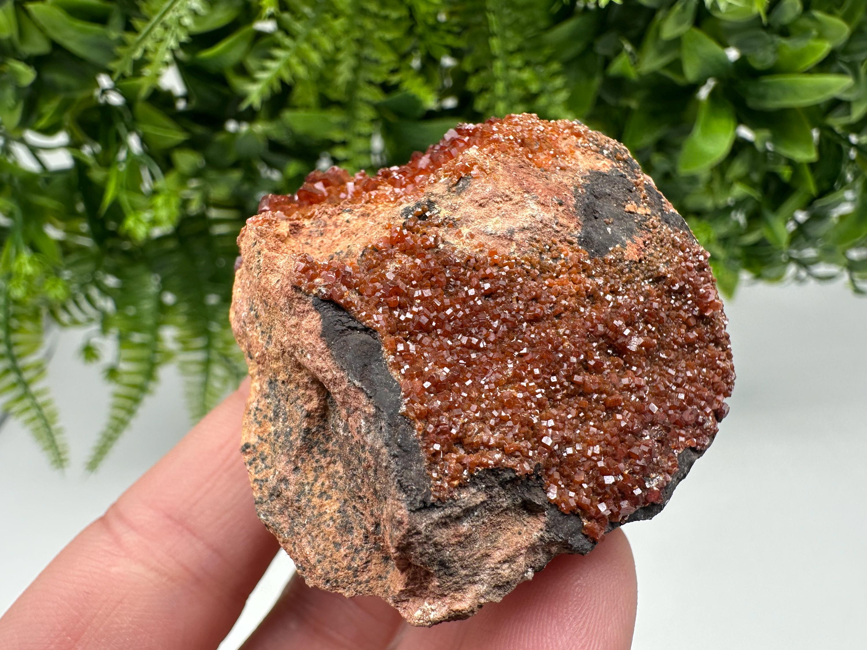 Red Vanadinite on Matrix from Marocco,crystal minerals Speciment cluster Vanadinite crystal Vanadinite Geology Vanadinite cluster minerals
