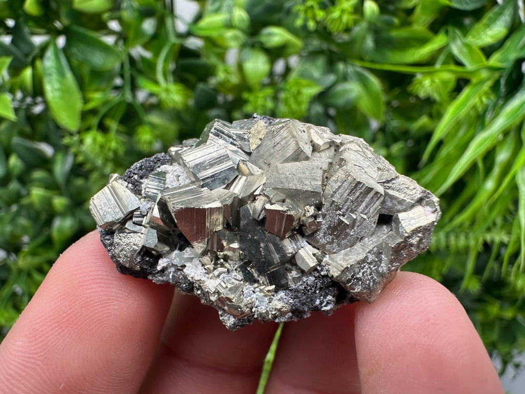 Pyrite on Sphalerite Mineral Specimen, Rare Crystal Decor