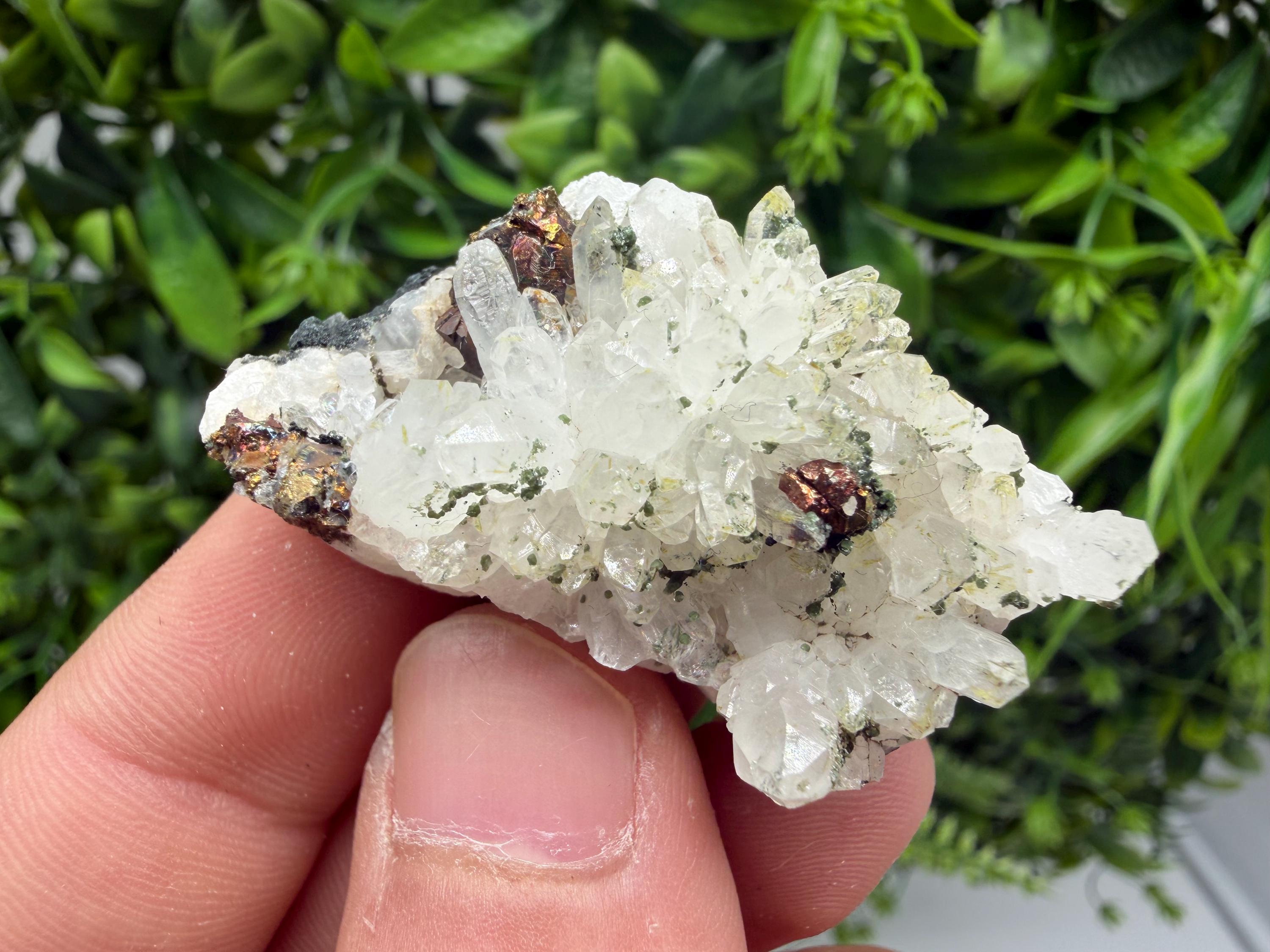 Pyrite Galena on Green Quartz, Chlorite Mineral Specimen, Bulgaria