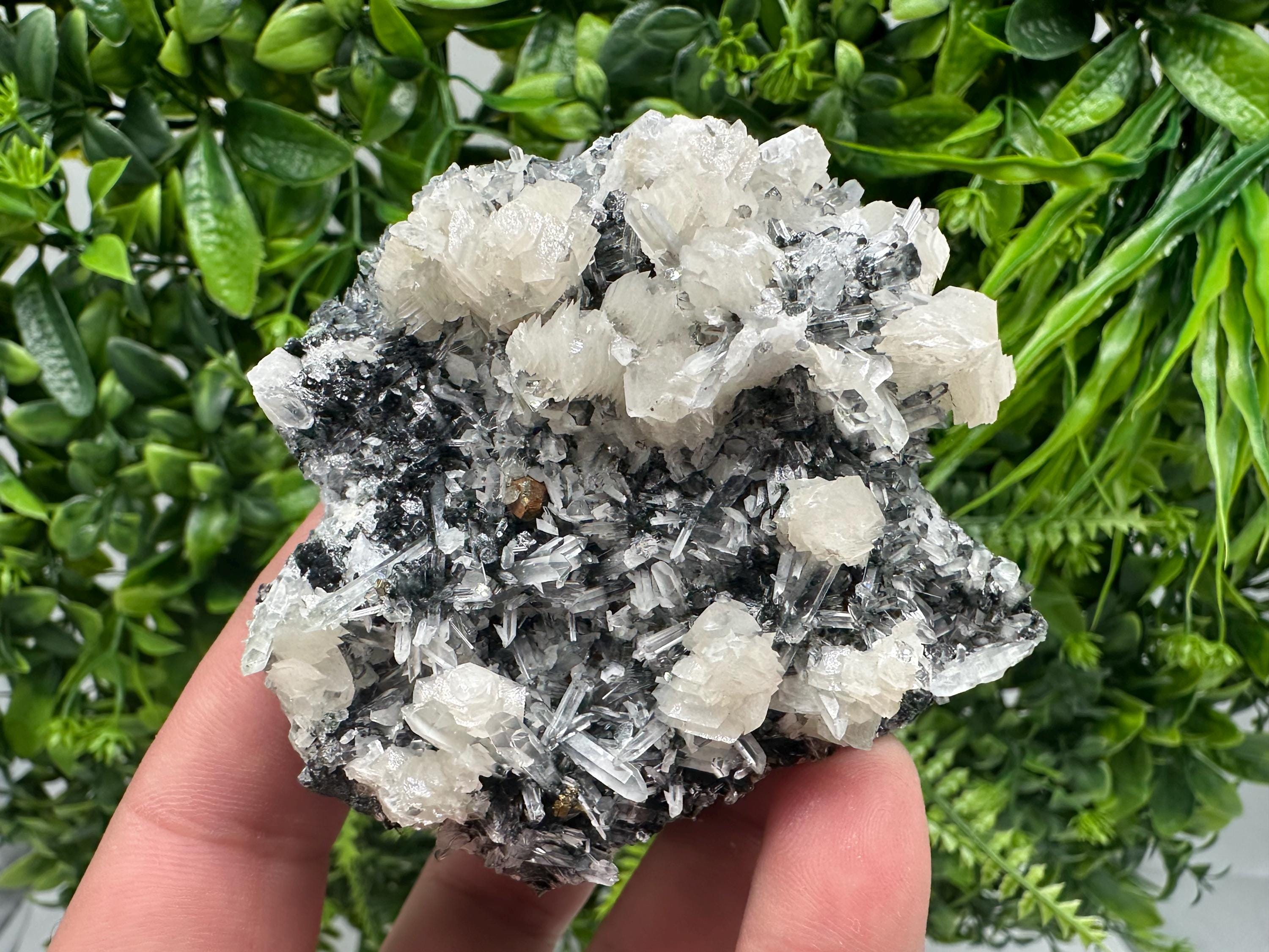 UV Fluorescence Calcite on Sphalerite Quartz, Borieva Bulgaria Mineral Specimen