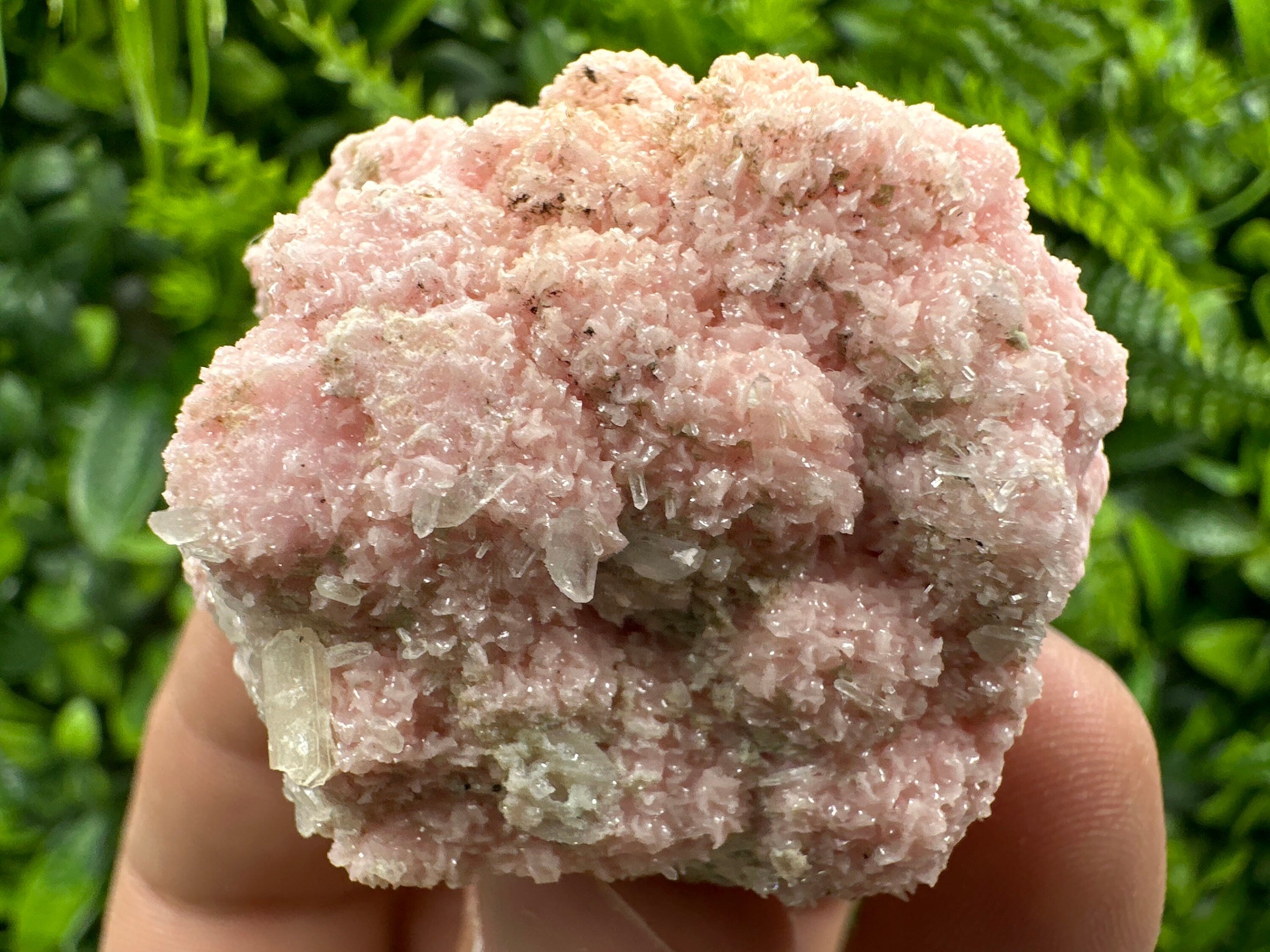 Pink Rhodochrosite Crystal: Starnica Mine, Bulgaria - Home Decor Stone