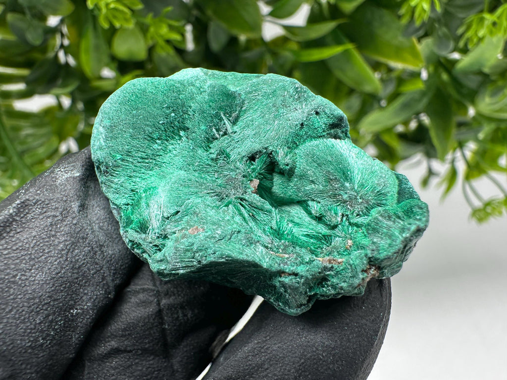 Malachite Crystal from Congo,Minerals,Crystals from Congo,Green Malachite, Malachite,Natural Malachite,Malachite Stone,Chakra, Specimens