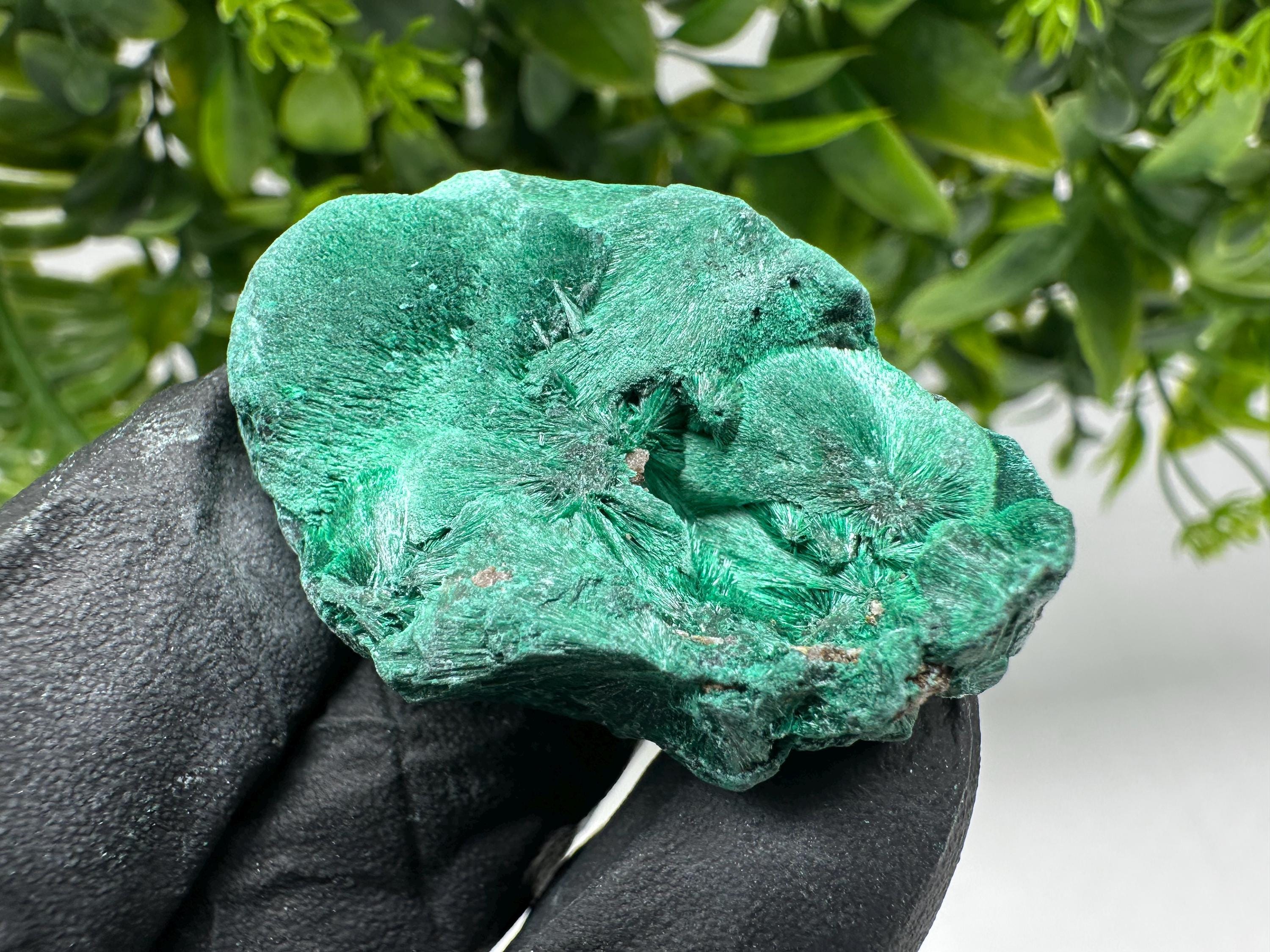 Malachite Crystal from Congo,Minerals,Crystals from Congo,Green Malachite, Malachite,Natural Malachite,Malachite Stone,Chakra, Specimens