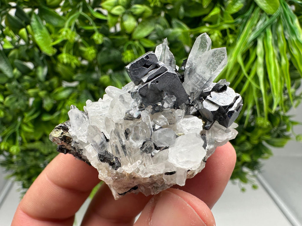 Aesthetic Natural shiny Galena whit Siderite and Quartz from 9 th September mine,Bulgaria,collection specimen,rare galena,Galena cluster