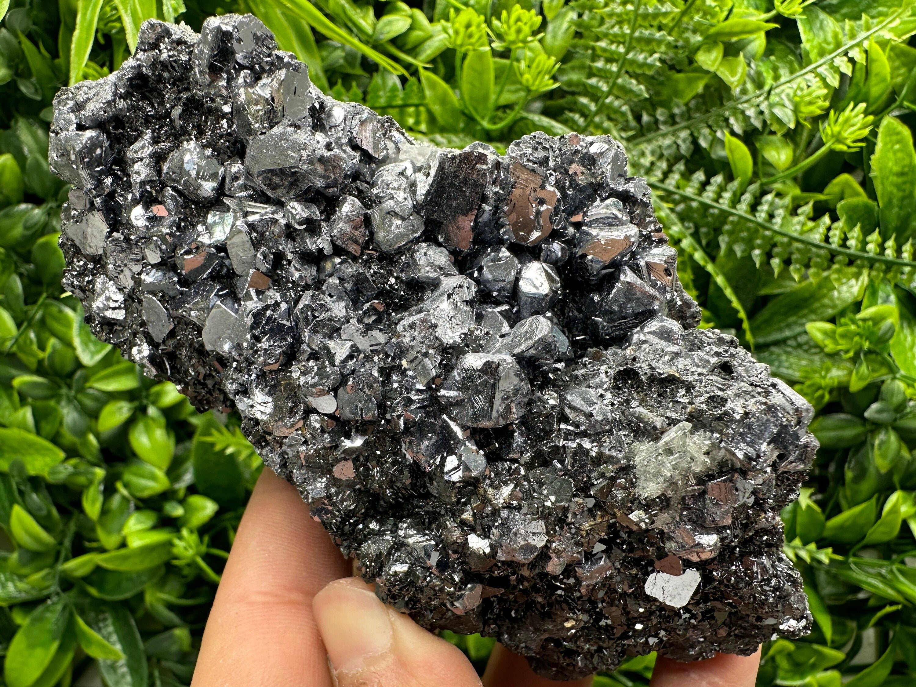 Mirror Galena on Sphalerite, Borieva Mine Mineral Specimen