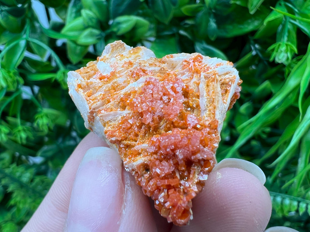Red Vanadinite on Barite from Marocco,crystal minerals Speciment cluster Vanadinite crystal Vanadinite Geology Vanadinite cluster minerals