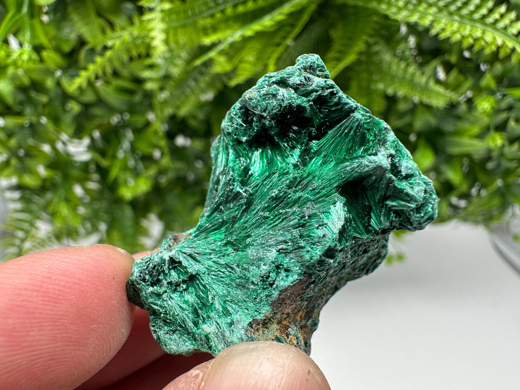 Green Polished Malachite Crystal Specimen from Congo