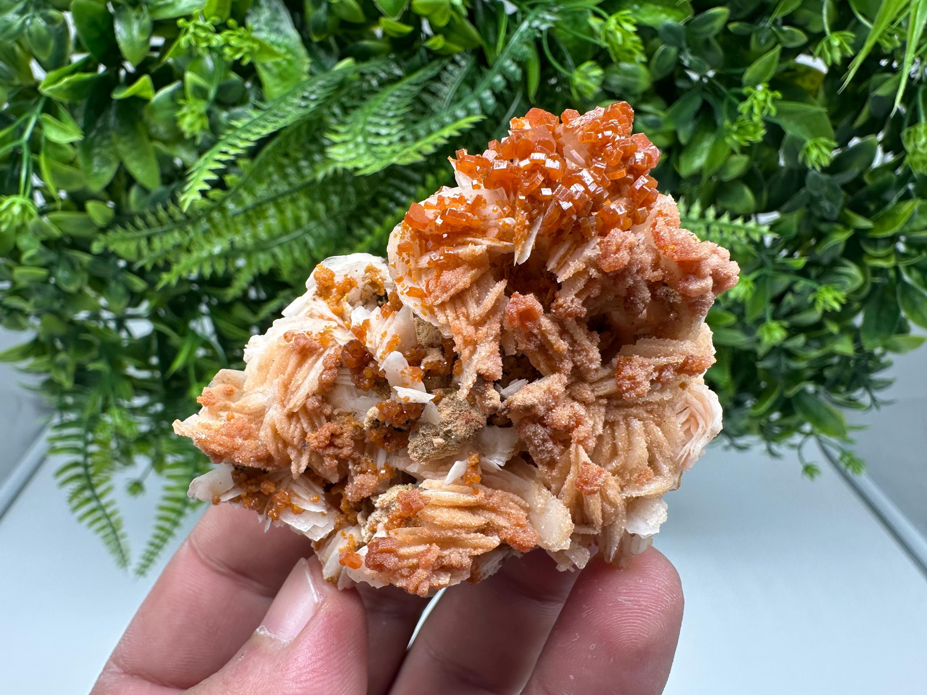 Red Vanadinite on Barite from Marocco,crystal minerals Speciment cluster Vanadinite crystal Vanadinite Geology Vanadinite cluster minerals